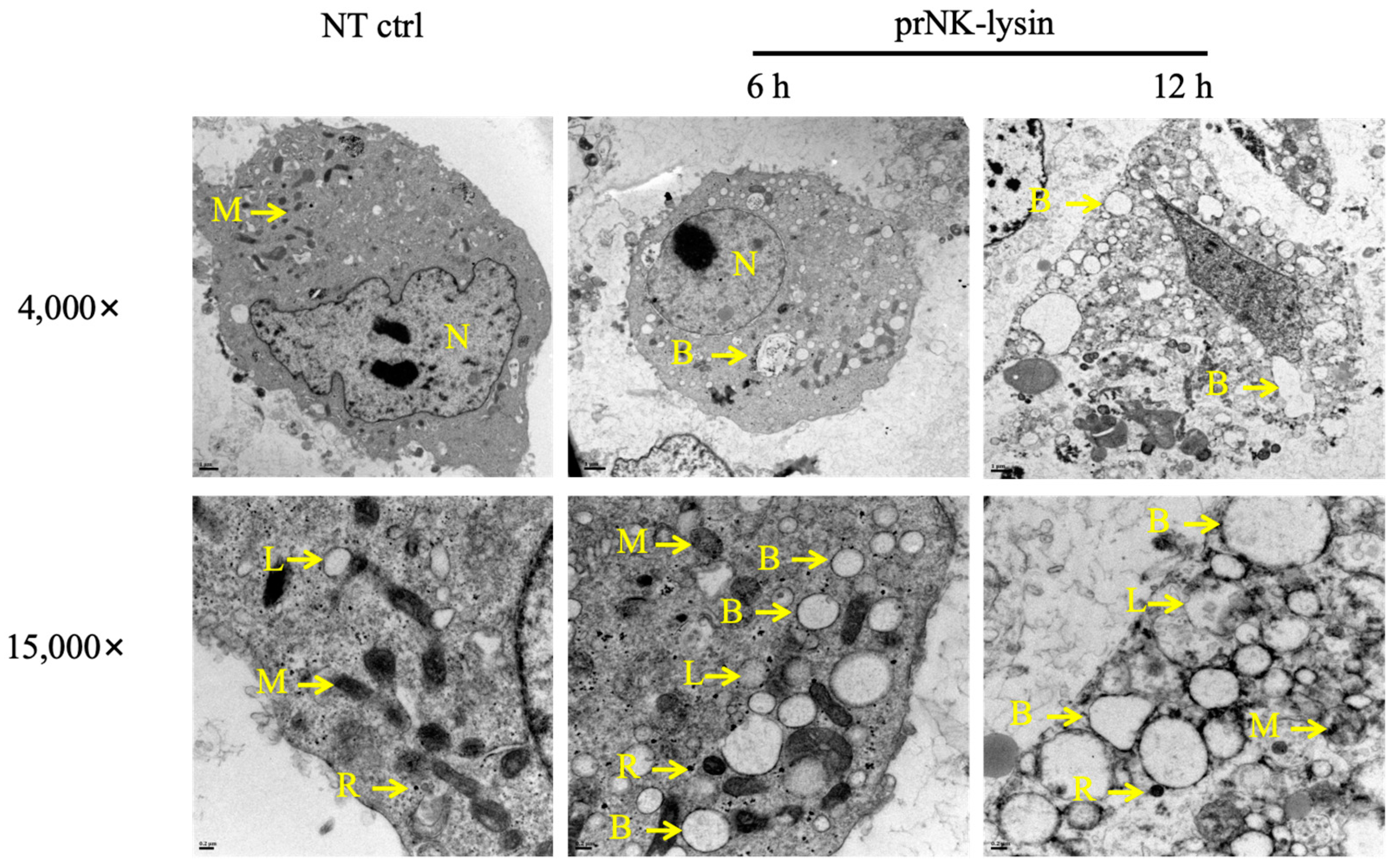Molecules 30 01234 g005