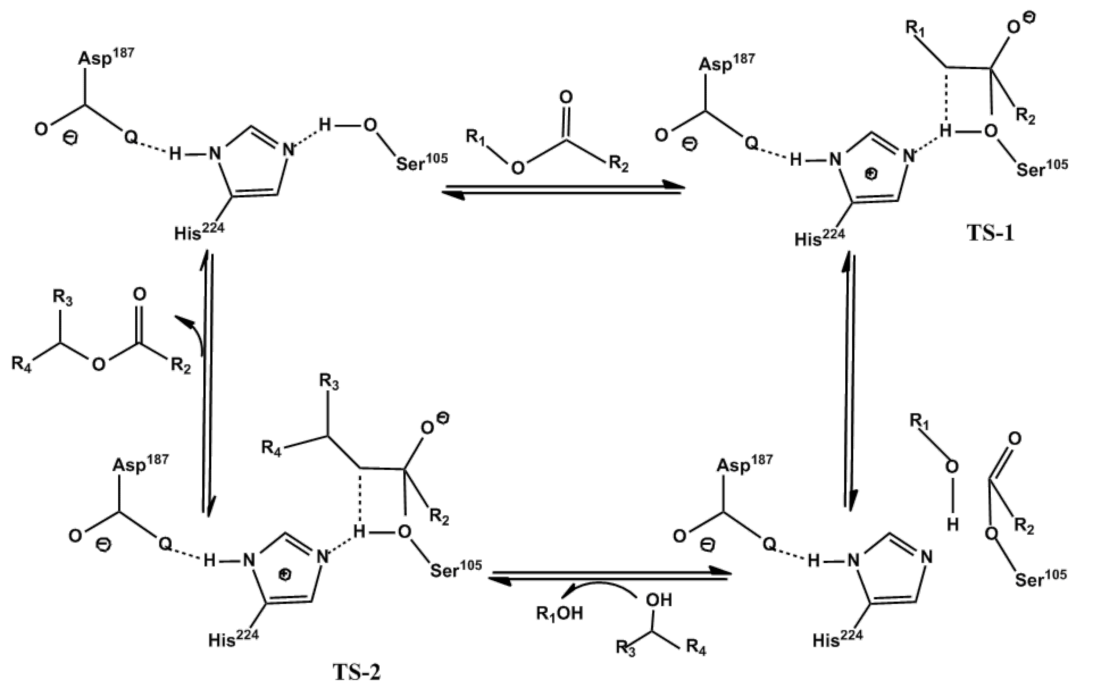 Molecules 30 01241 g001 Molecules 30 01241 g001