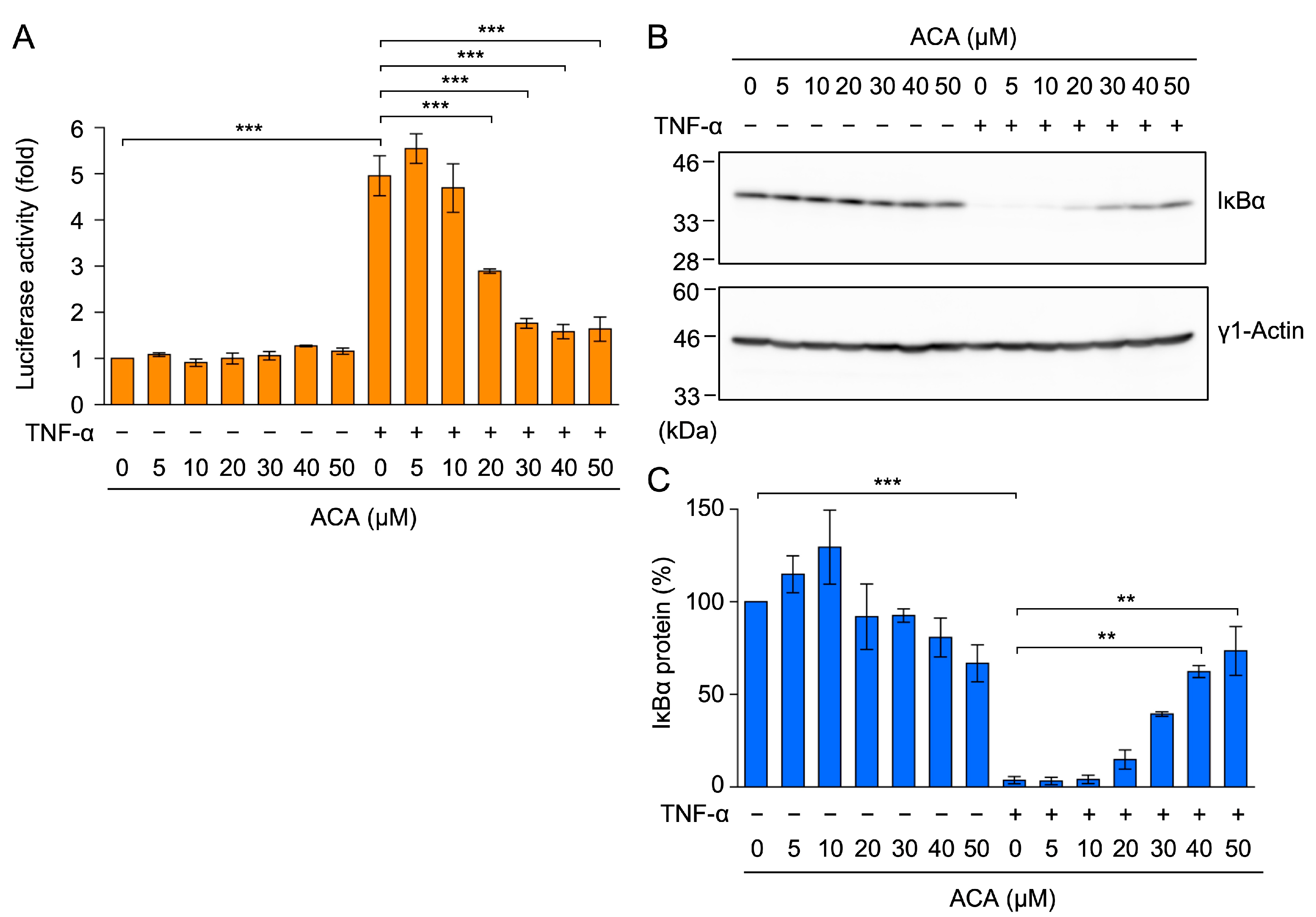 Molecules 30 01243 g005