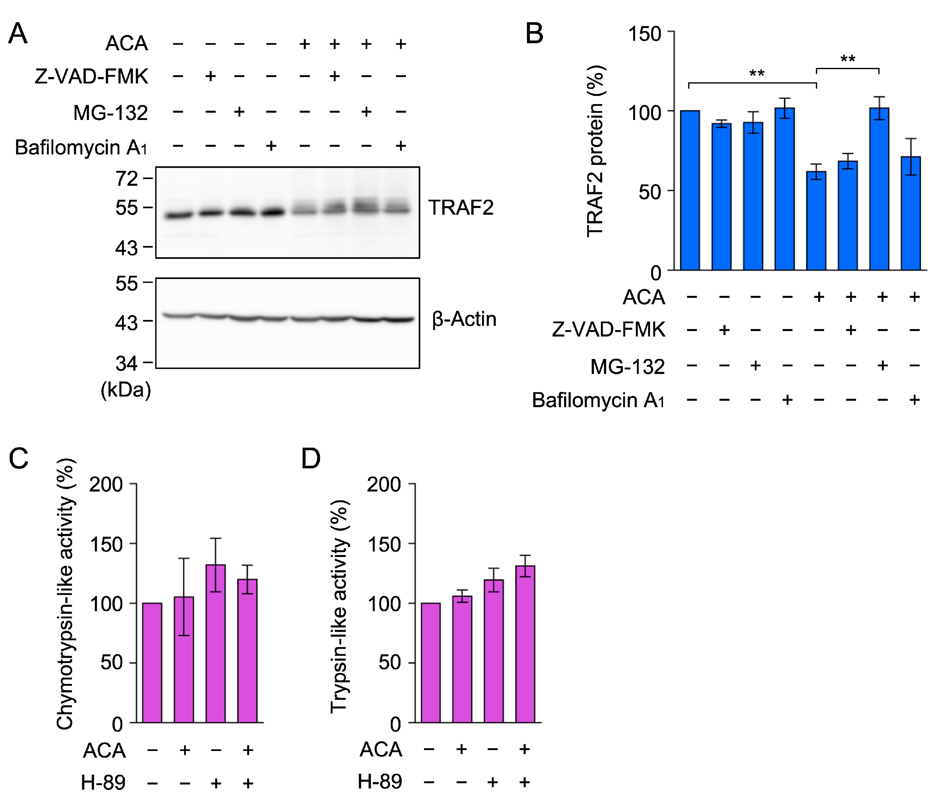 Molecules 30 01243 g008