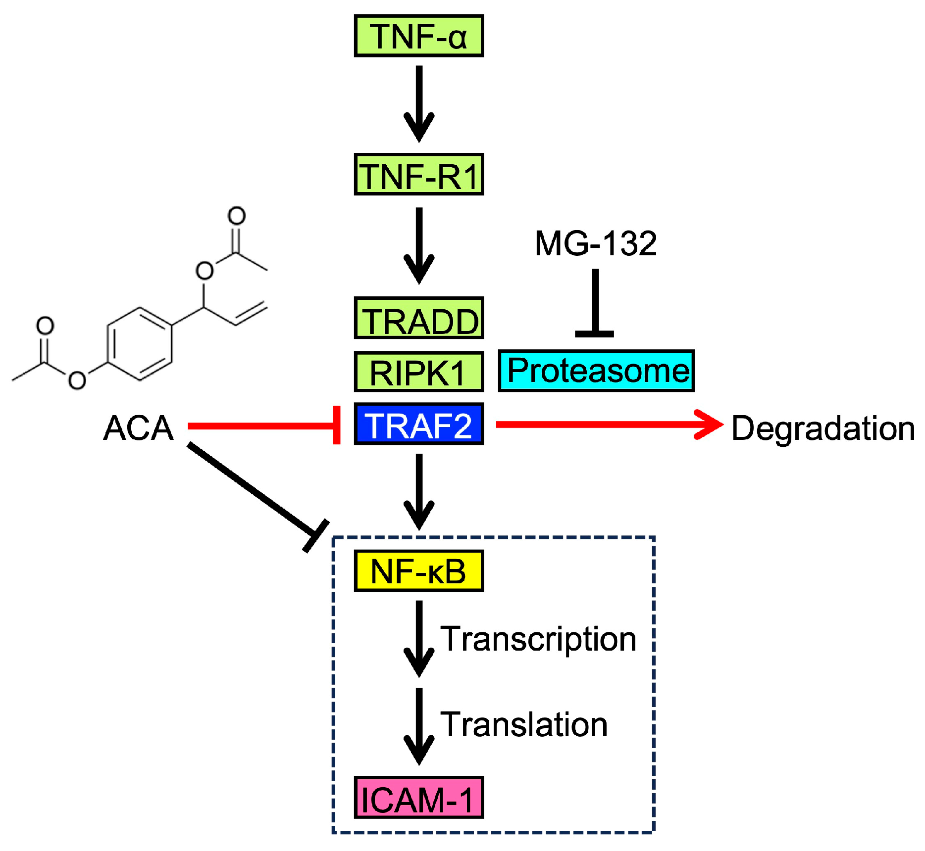 Molecules 30 01243 g011