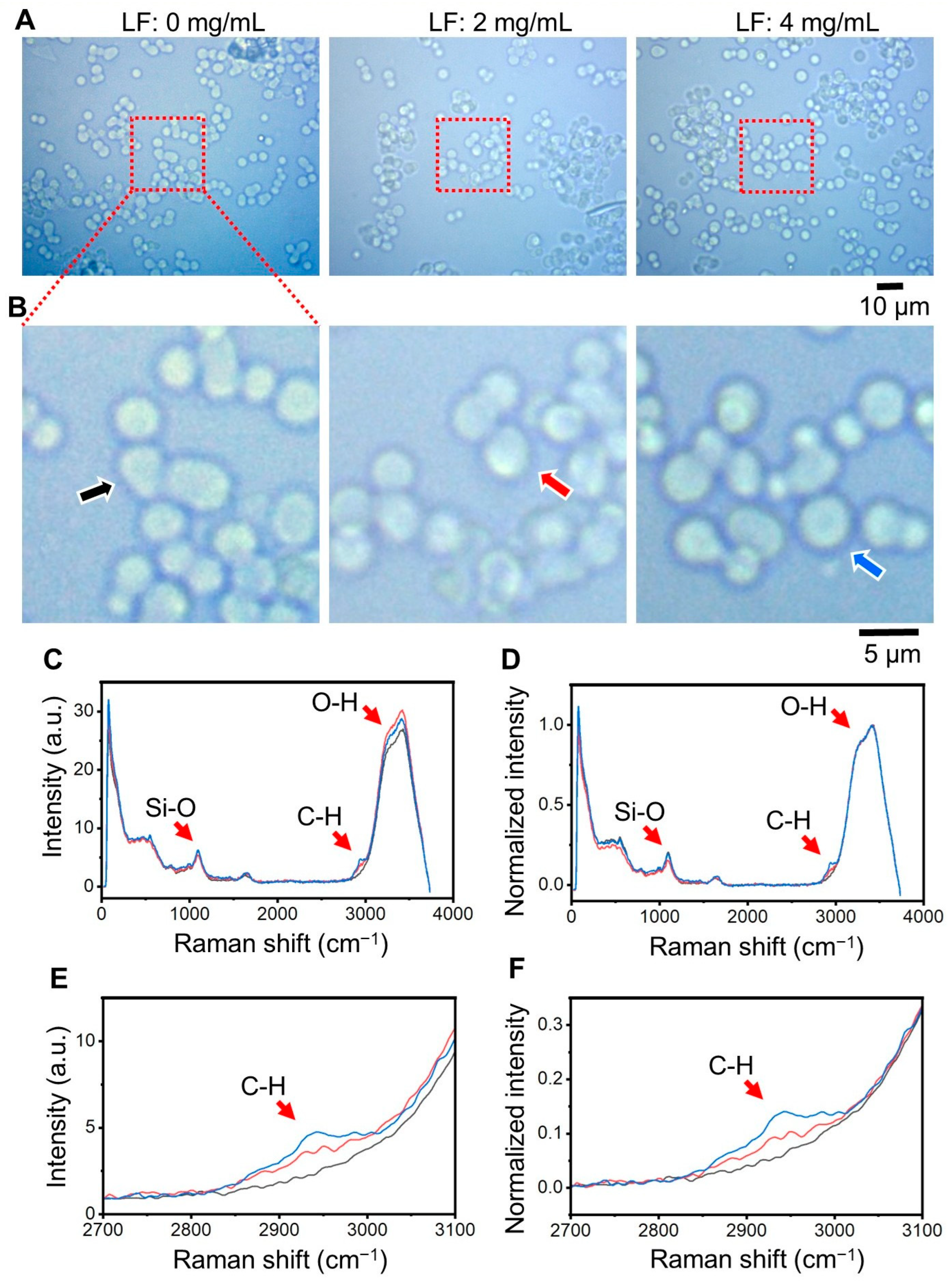 Molecules 30 01252 g002