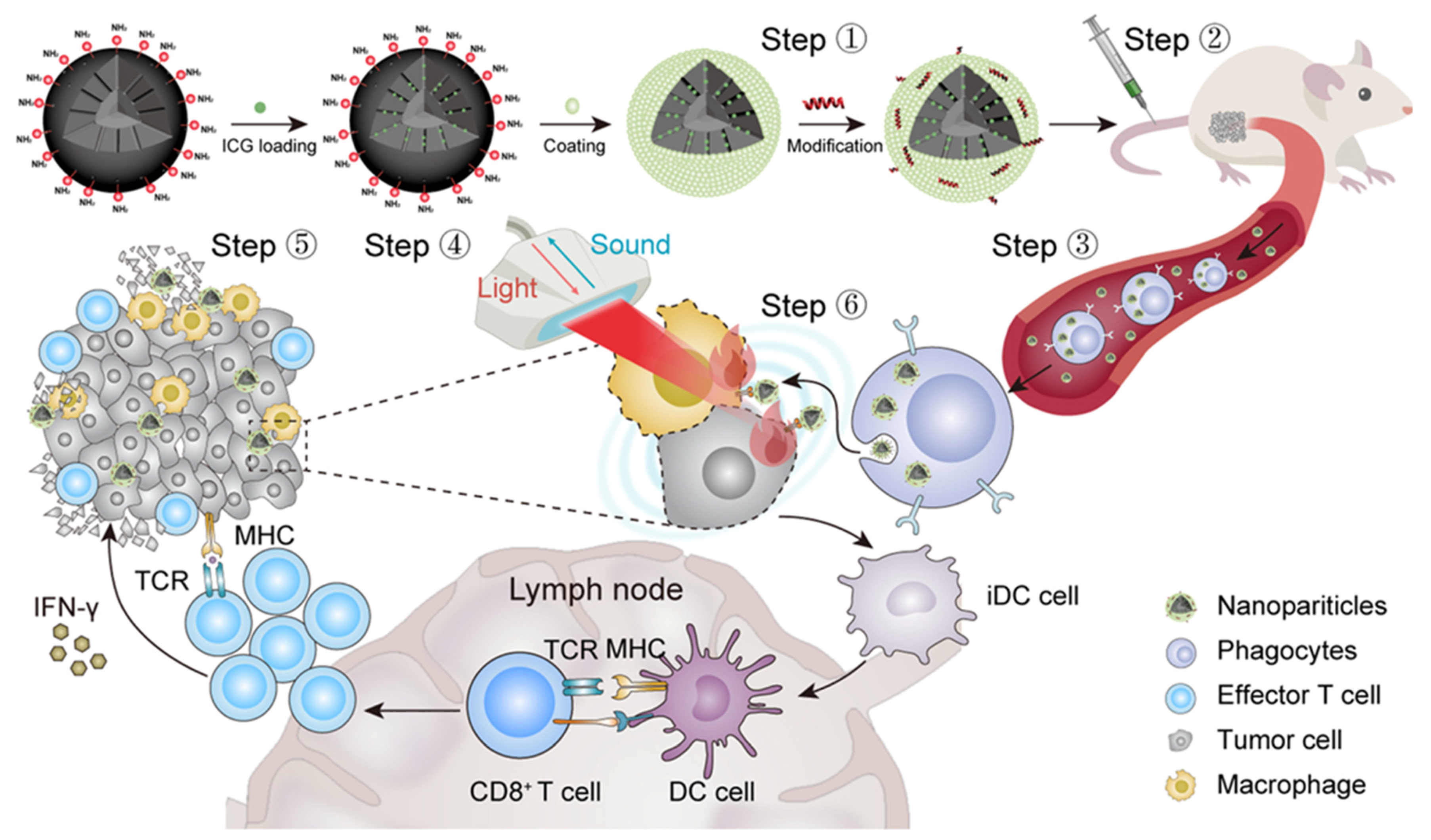 Molecules 30 01257 g003