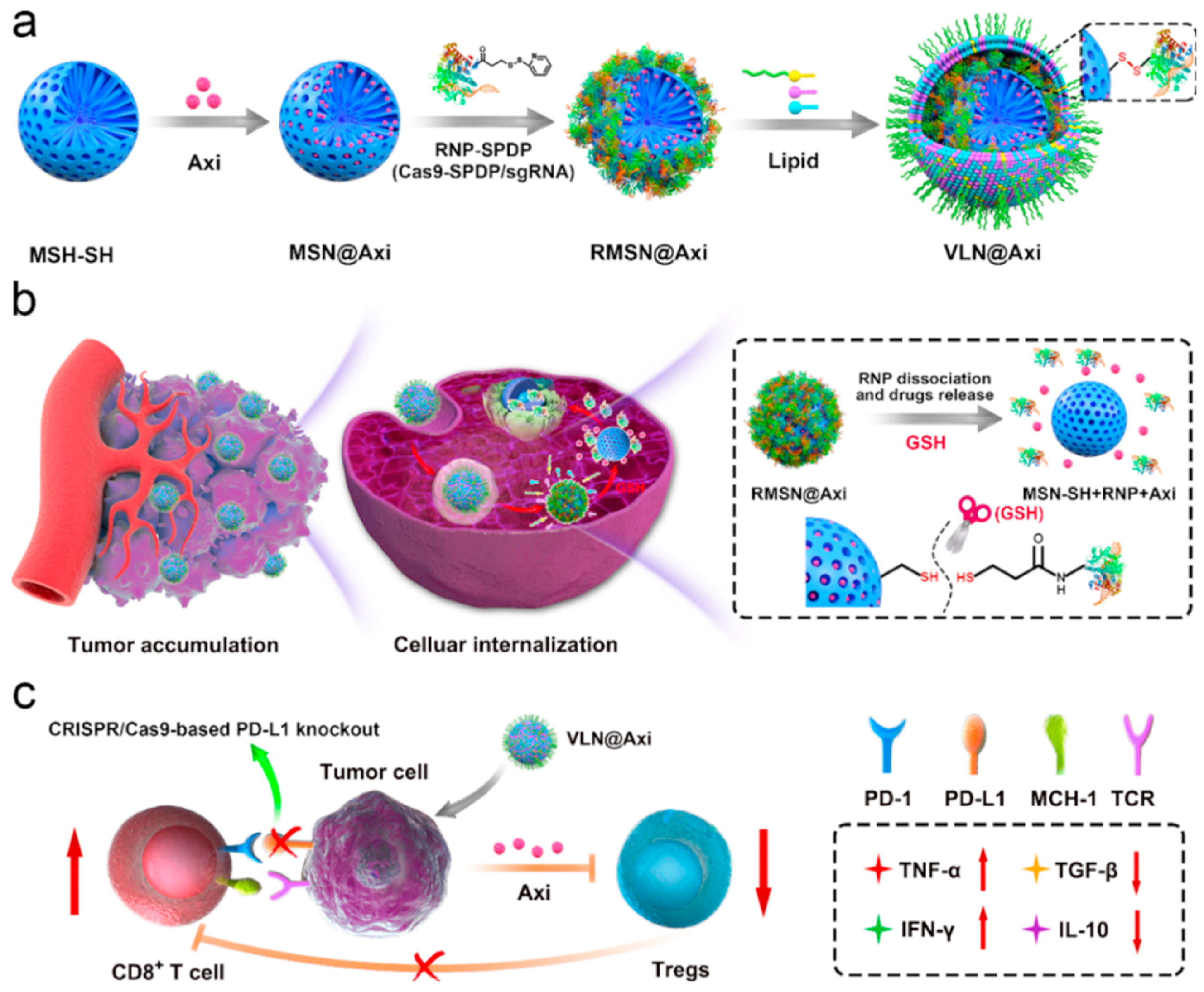 Molecules 30 01257 g004