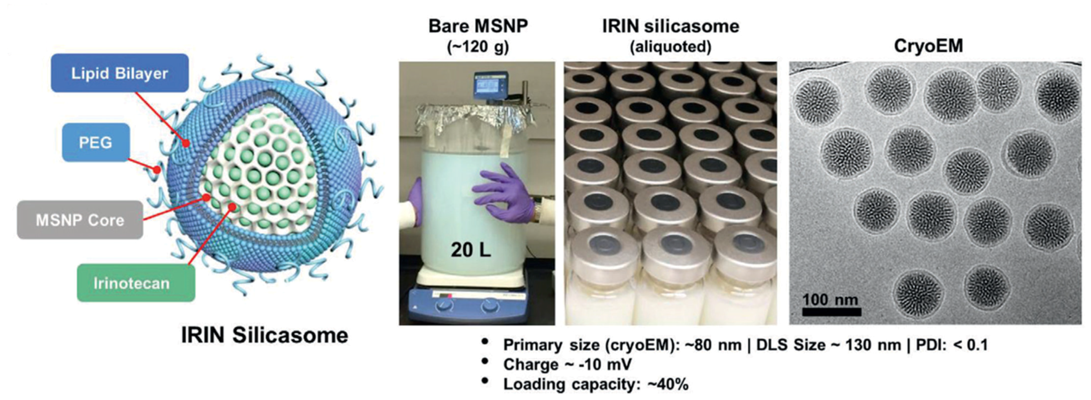 Molecules 30 01257 g005