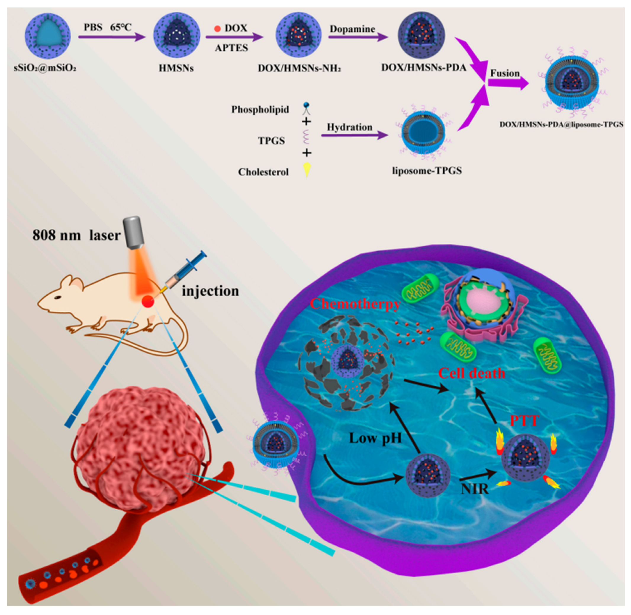 Molecules 30 01257 g006
