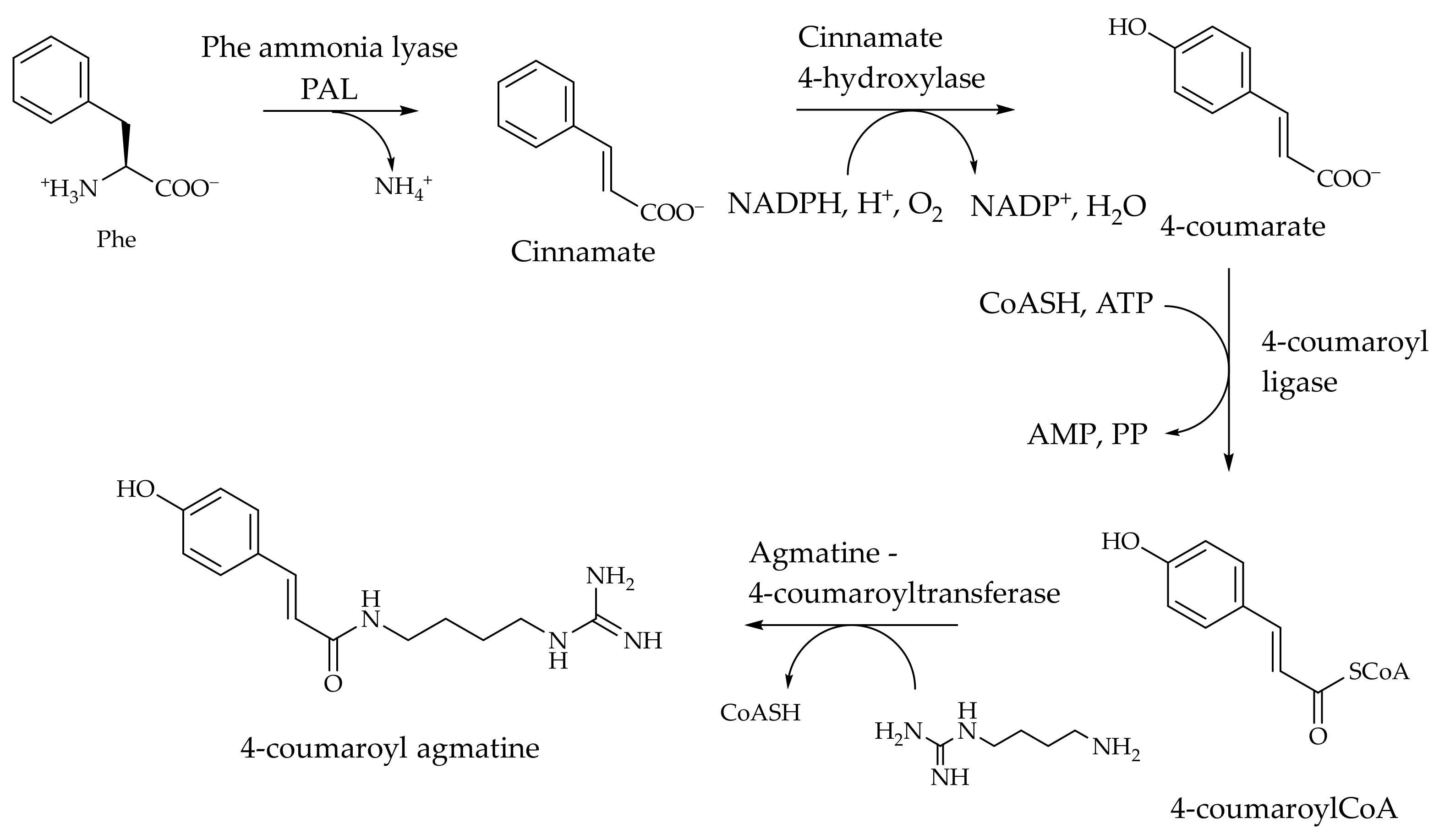 Molecules 30 01259 sch002 Molecules 30 01259 sch002