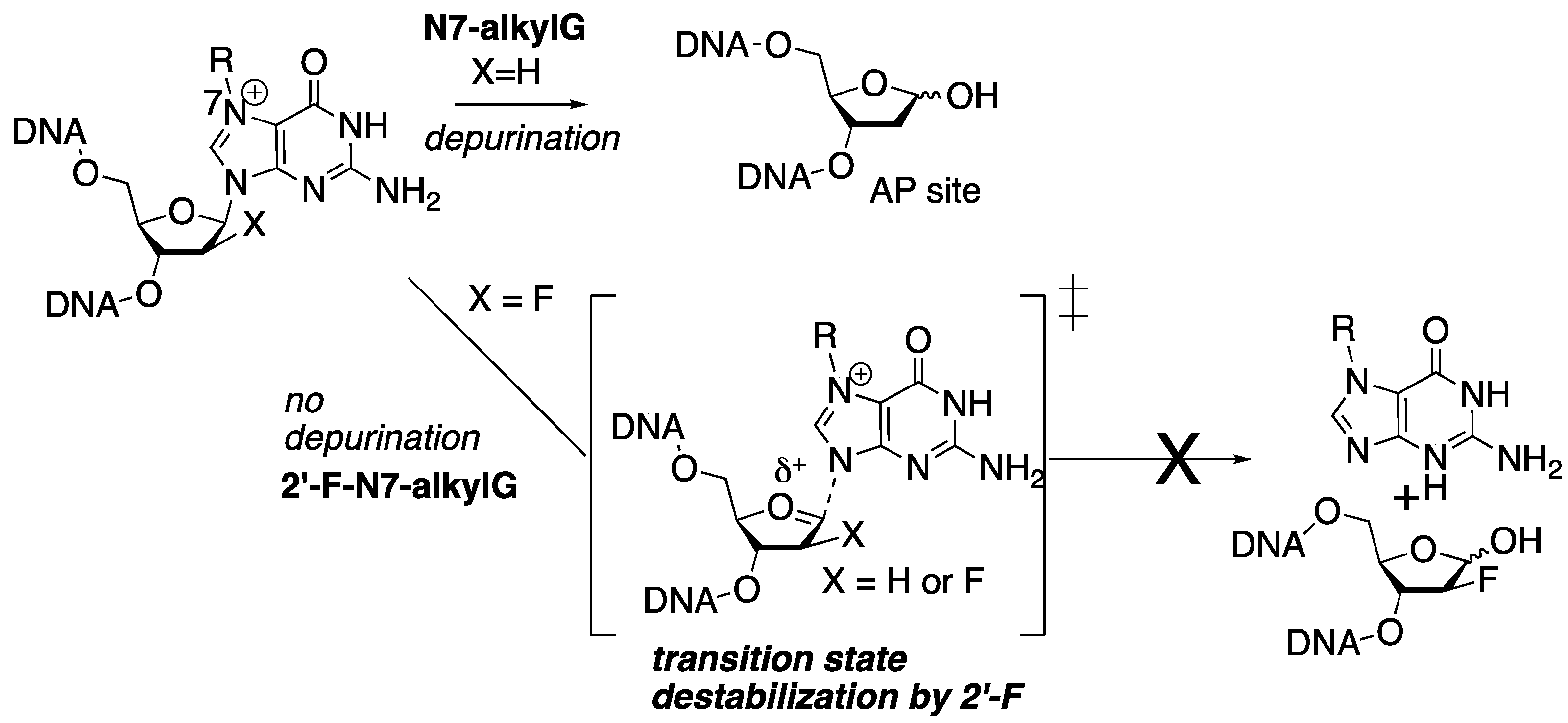 Molecules 30 01264 g002 Molecules 30 01264 g002