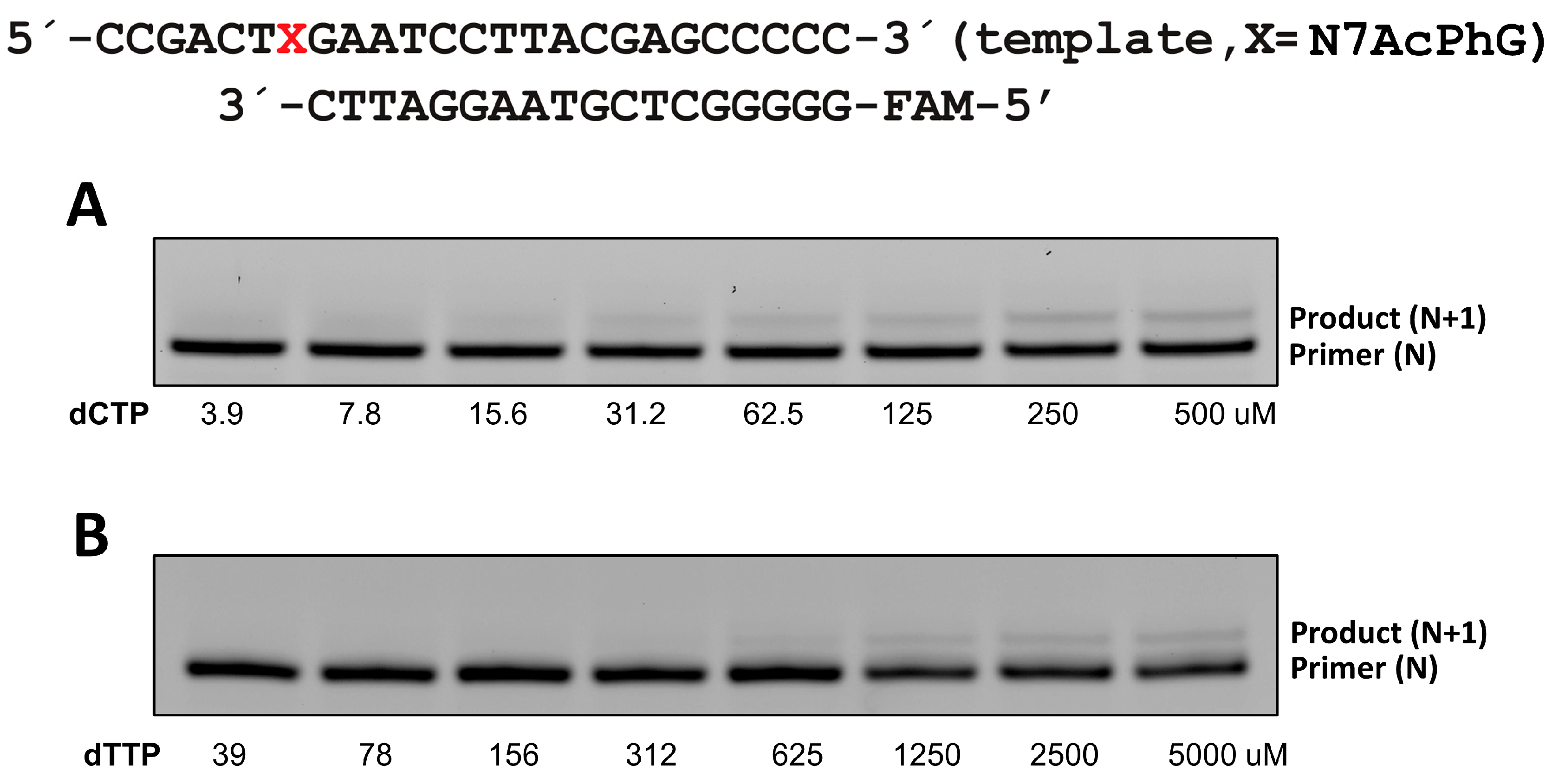 Molecules 30 01264 g004 Molecules 30 01264 g004