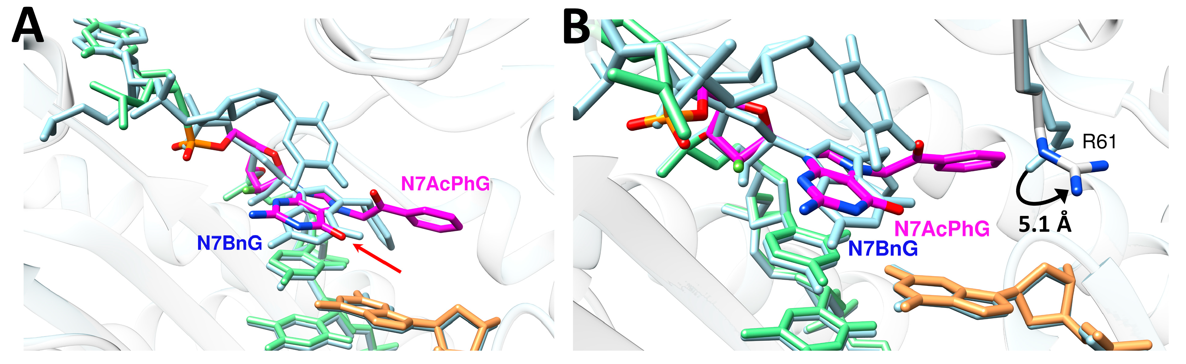 Molecules 30 01264 g006 Molecules 30 01264 g006