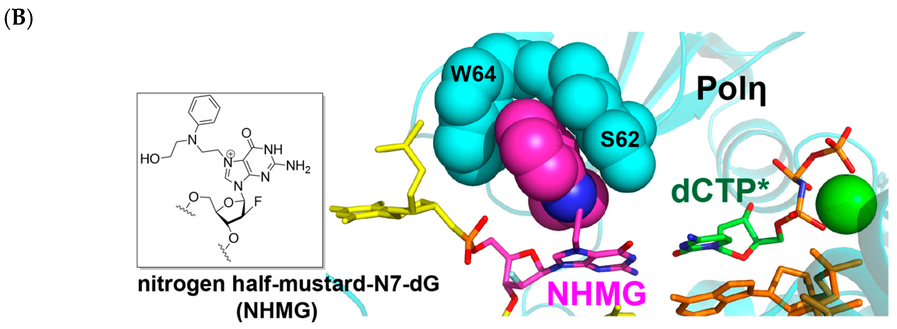 Molecules 30 01264 g007b Molecules 30 01264 g007b