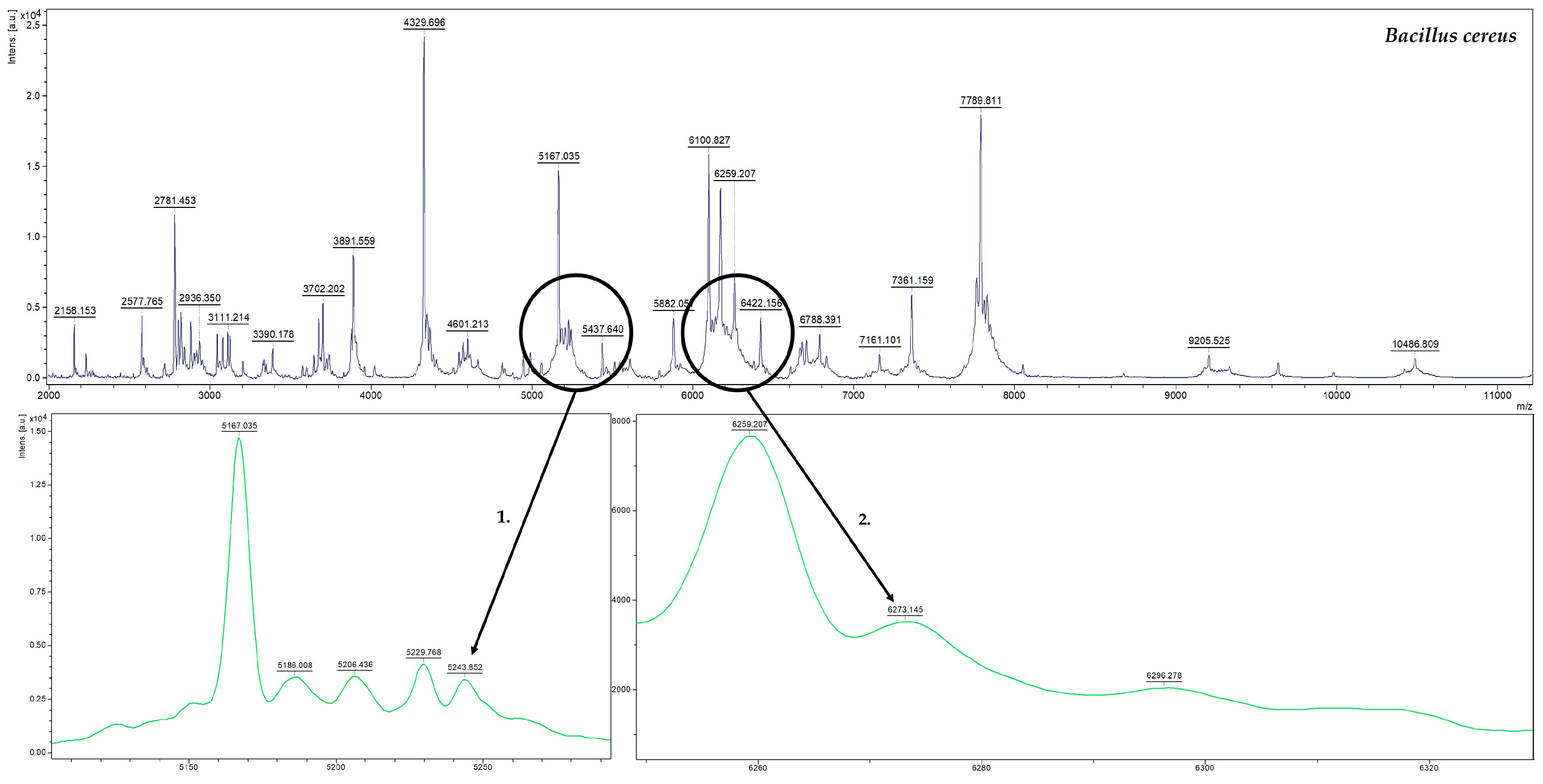 Molecules 30 01266 g002 Molecules 30 01266 g002