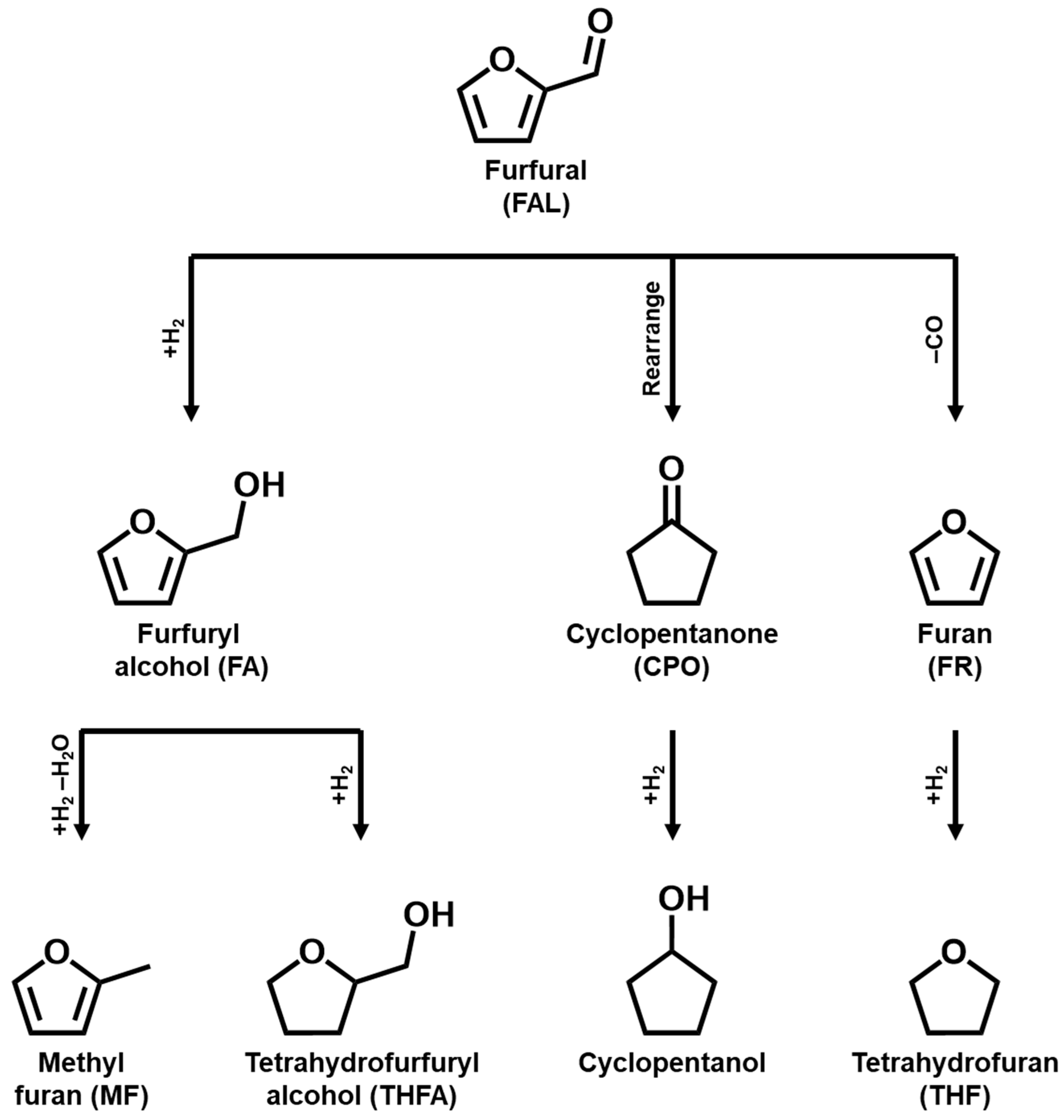 Molecules 30 01270 g001