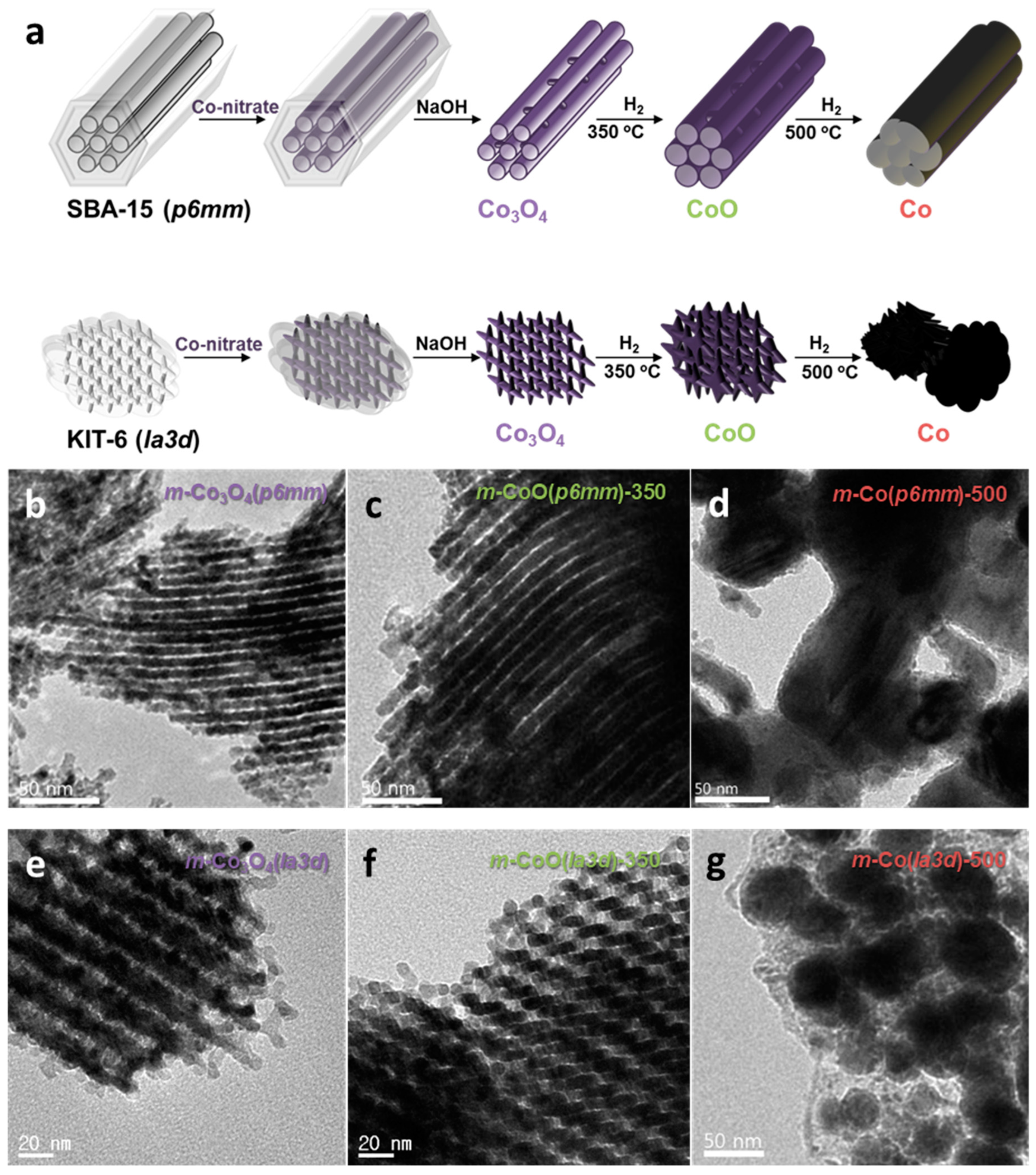 Molecules 30 01270 g008