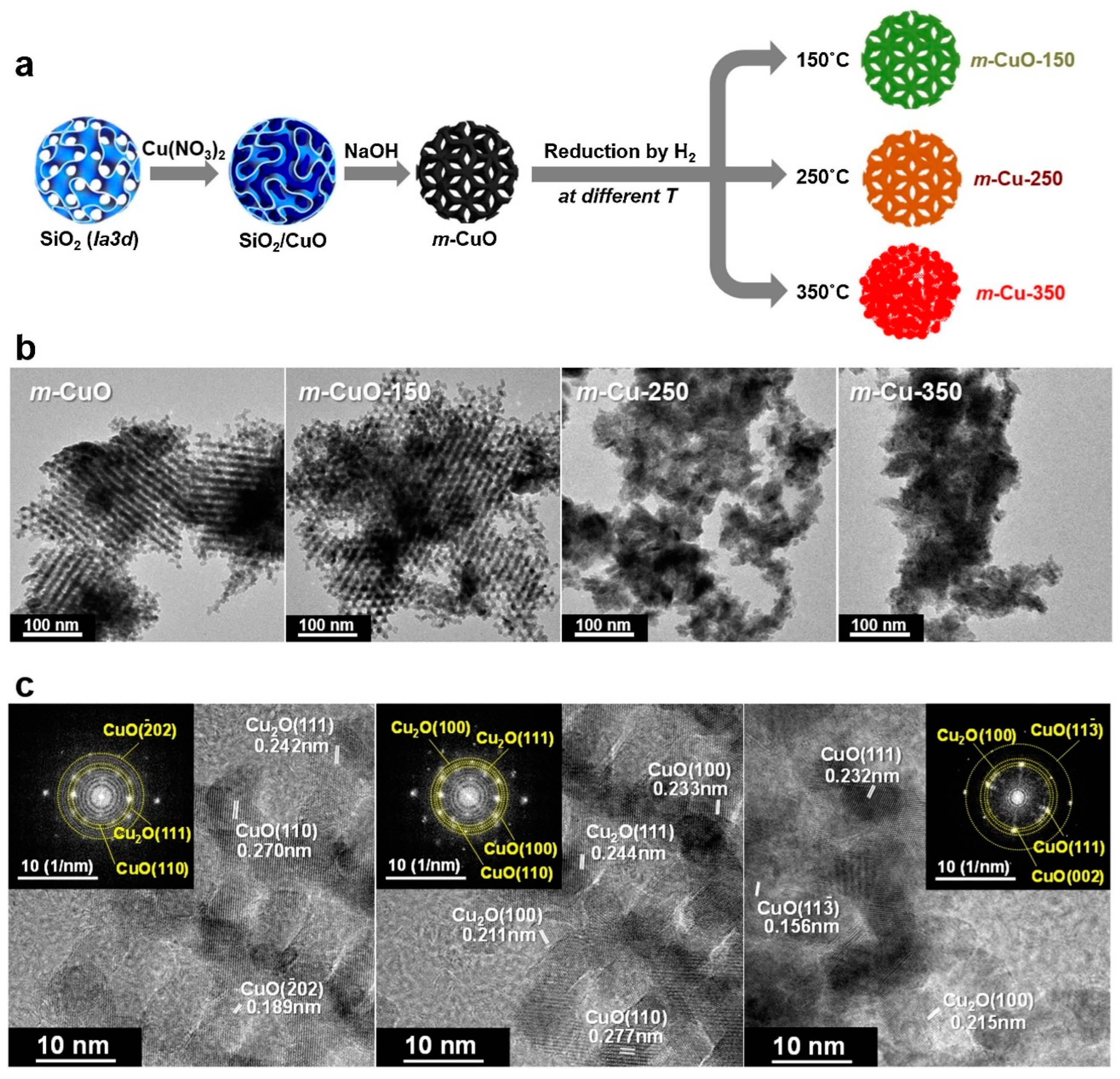 Molecules 30 01270 g010