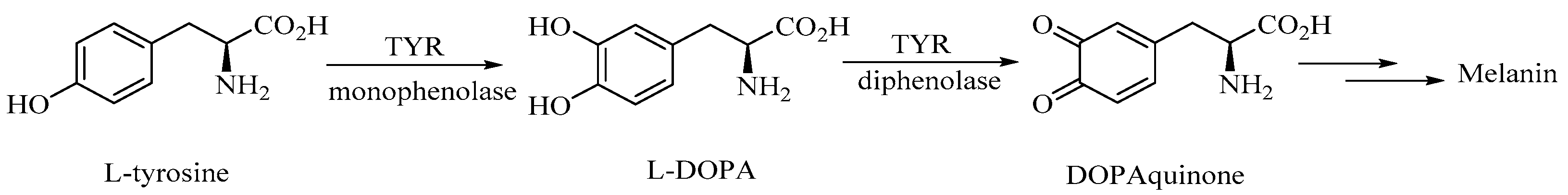Molecules 30 01291 sch001