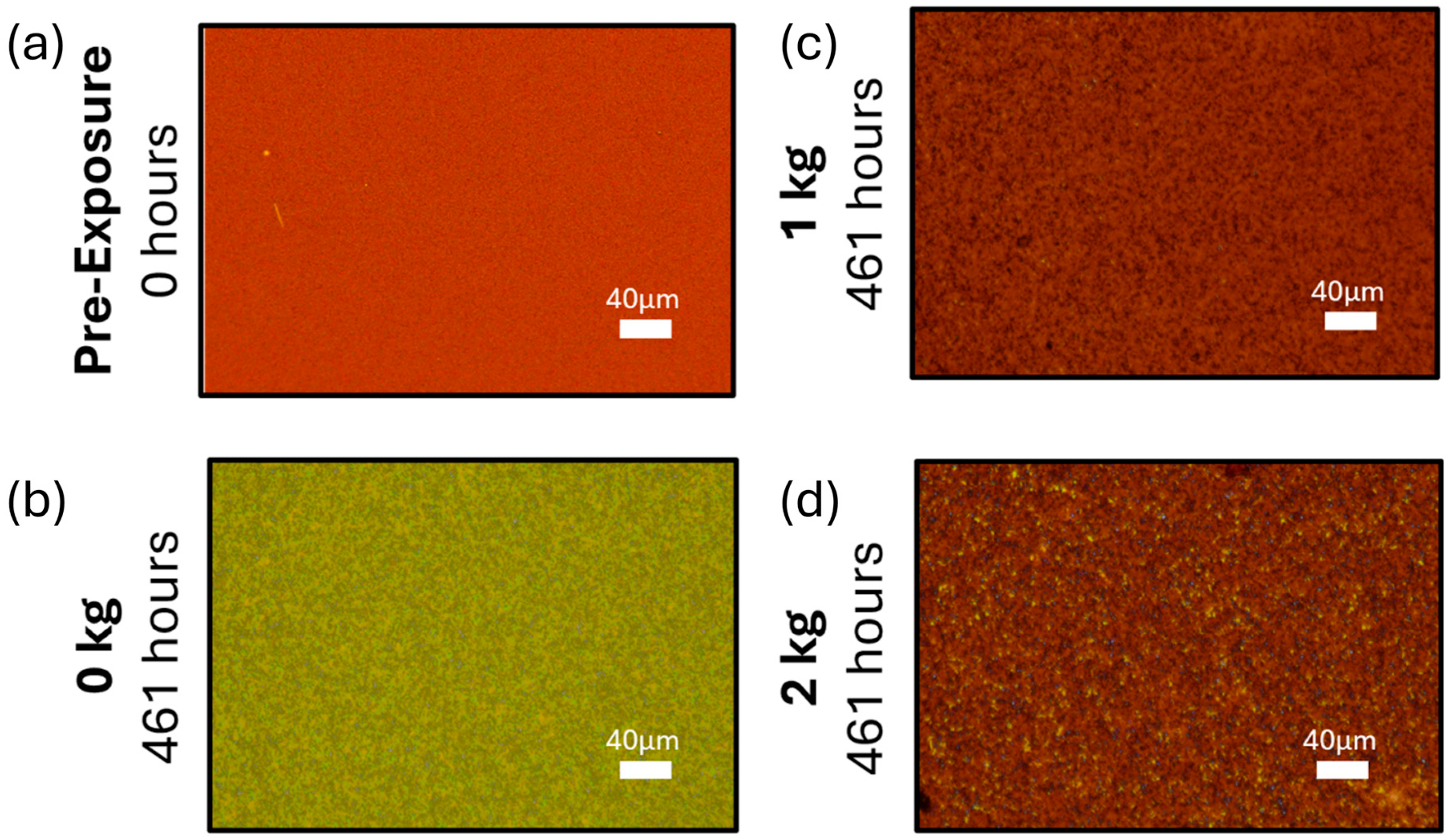 Molecules 30 01292 g001 Molecules 30 01292 g001