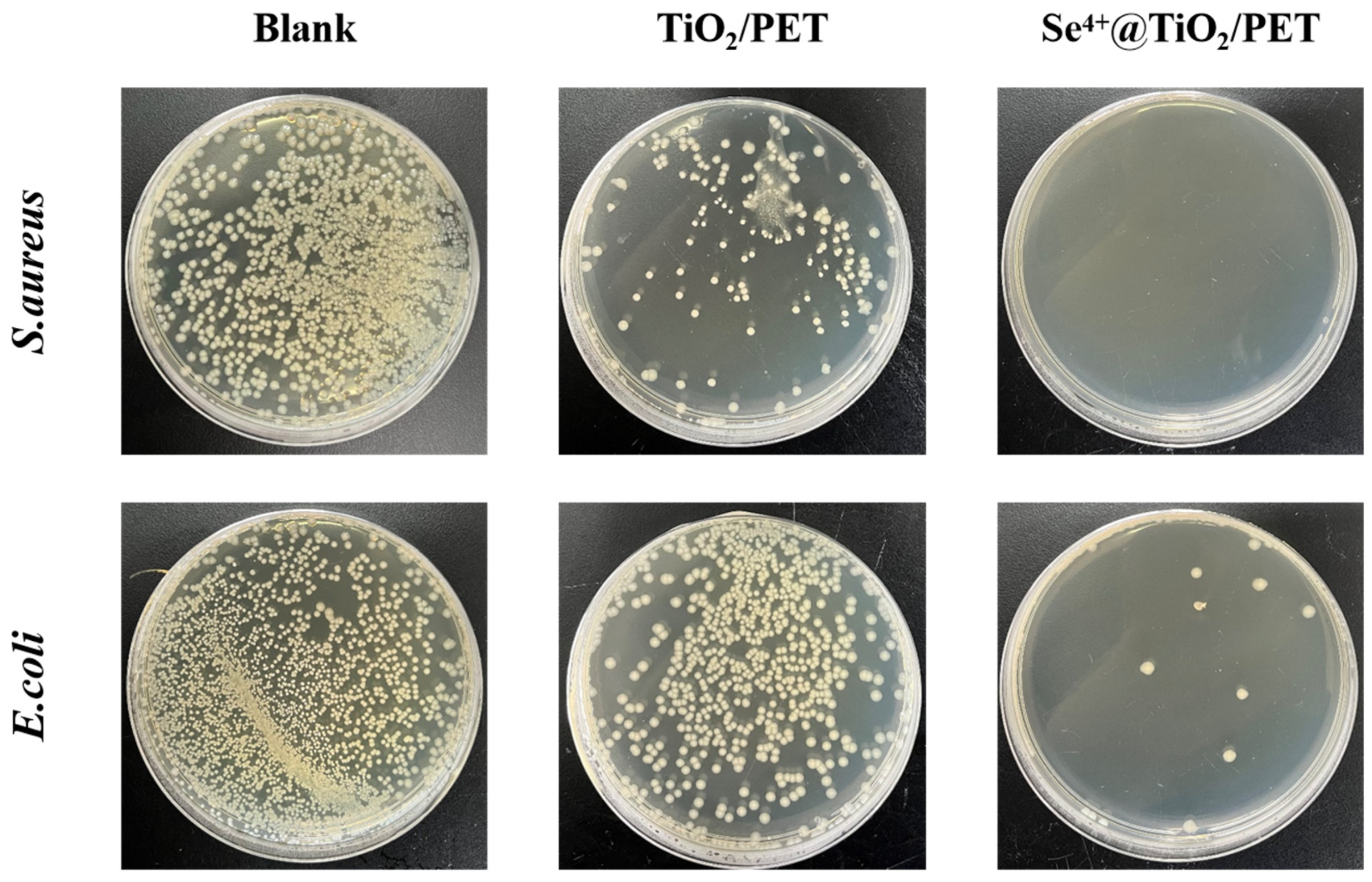 Molecules 30 01306 g011