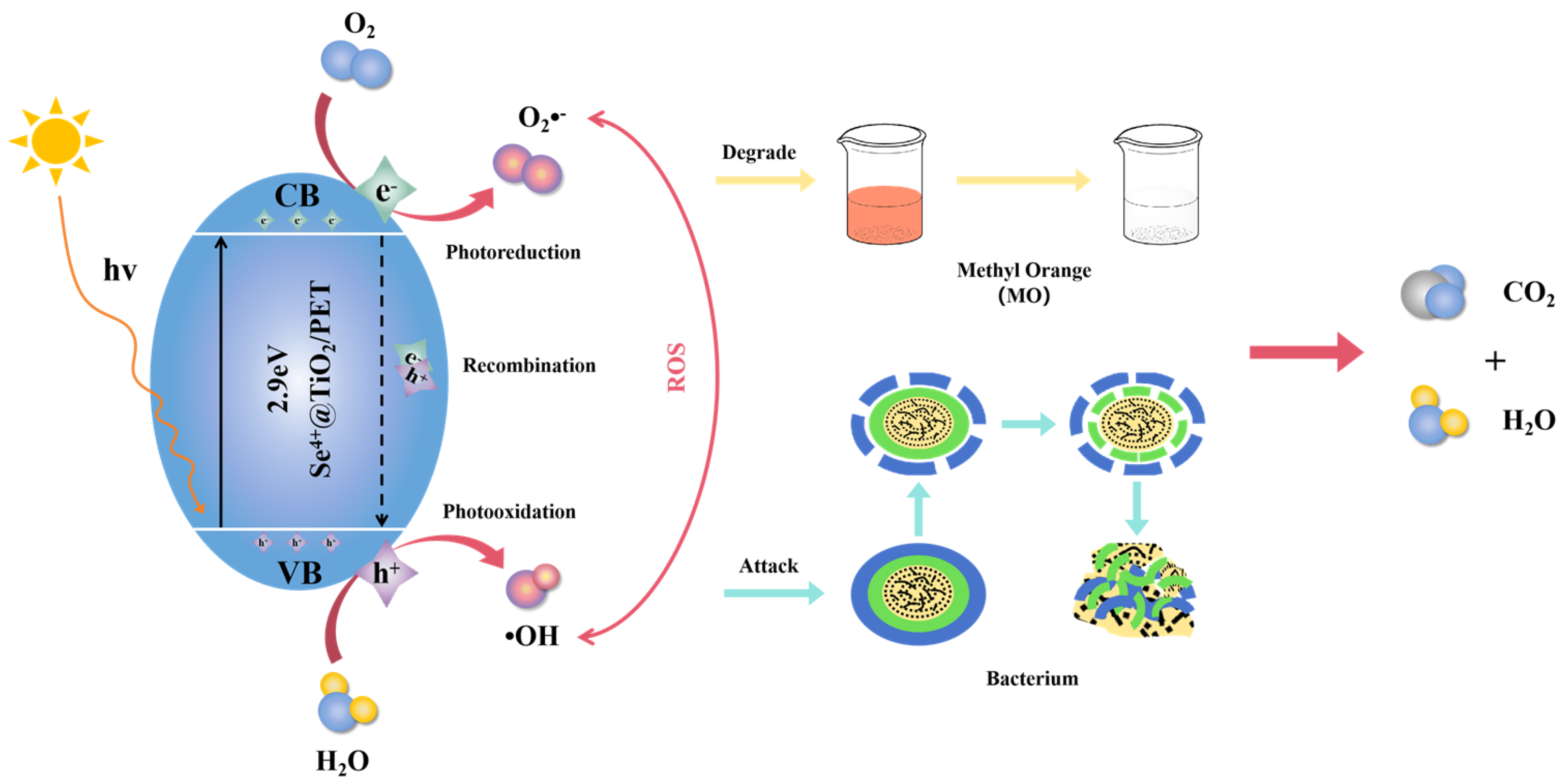 Molecules 30 01306 g012