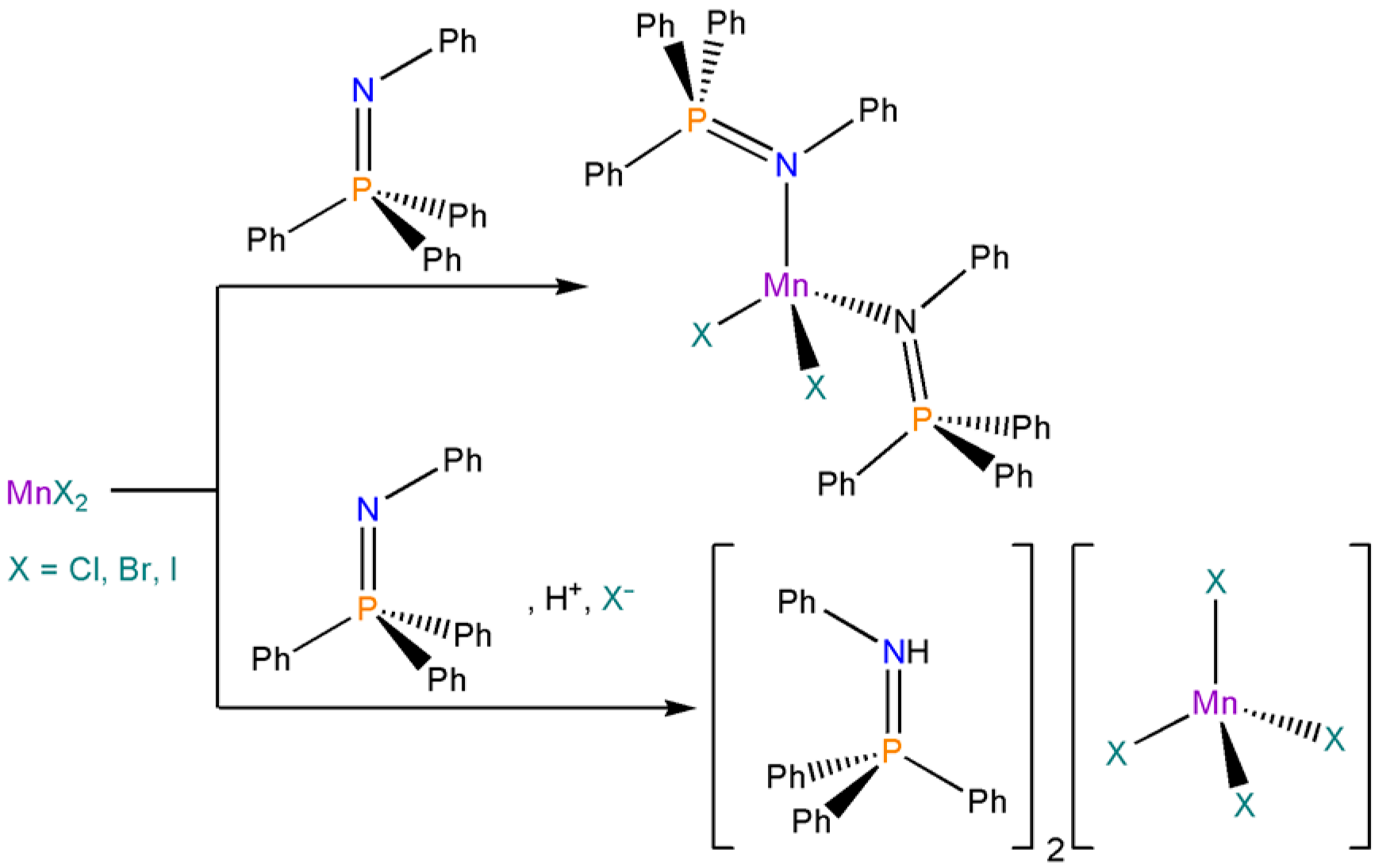Molecules 30 01319 sch001 Molecules 30 01319 sch001