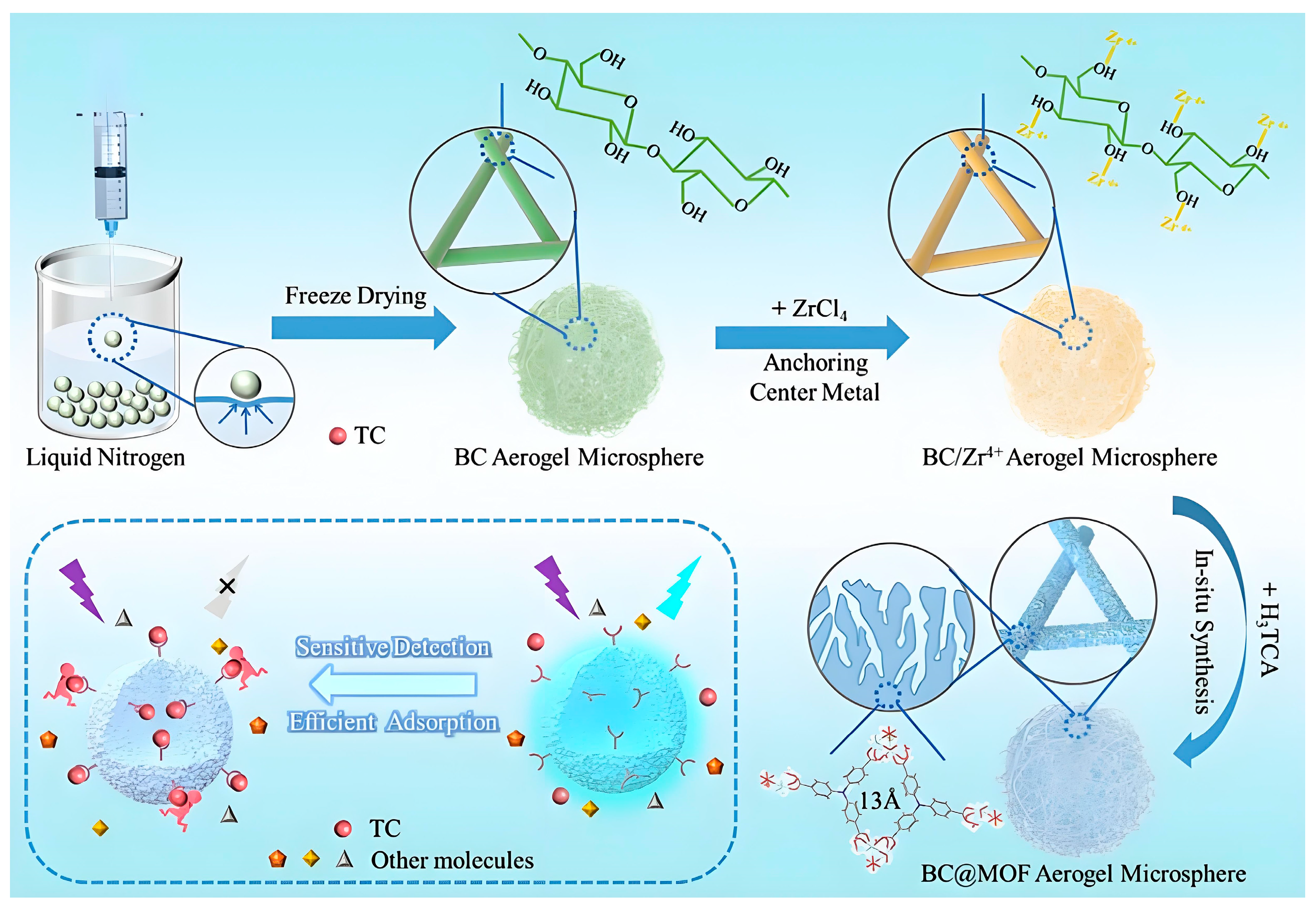 Molecules 30 01336 g003