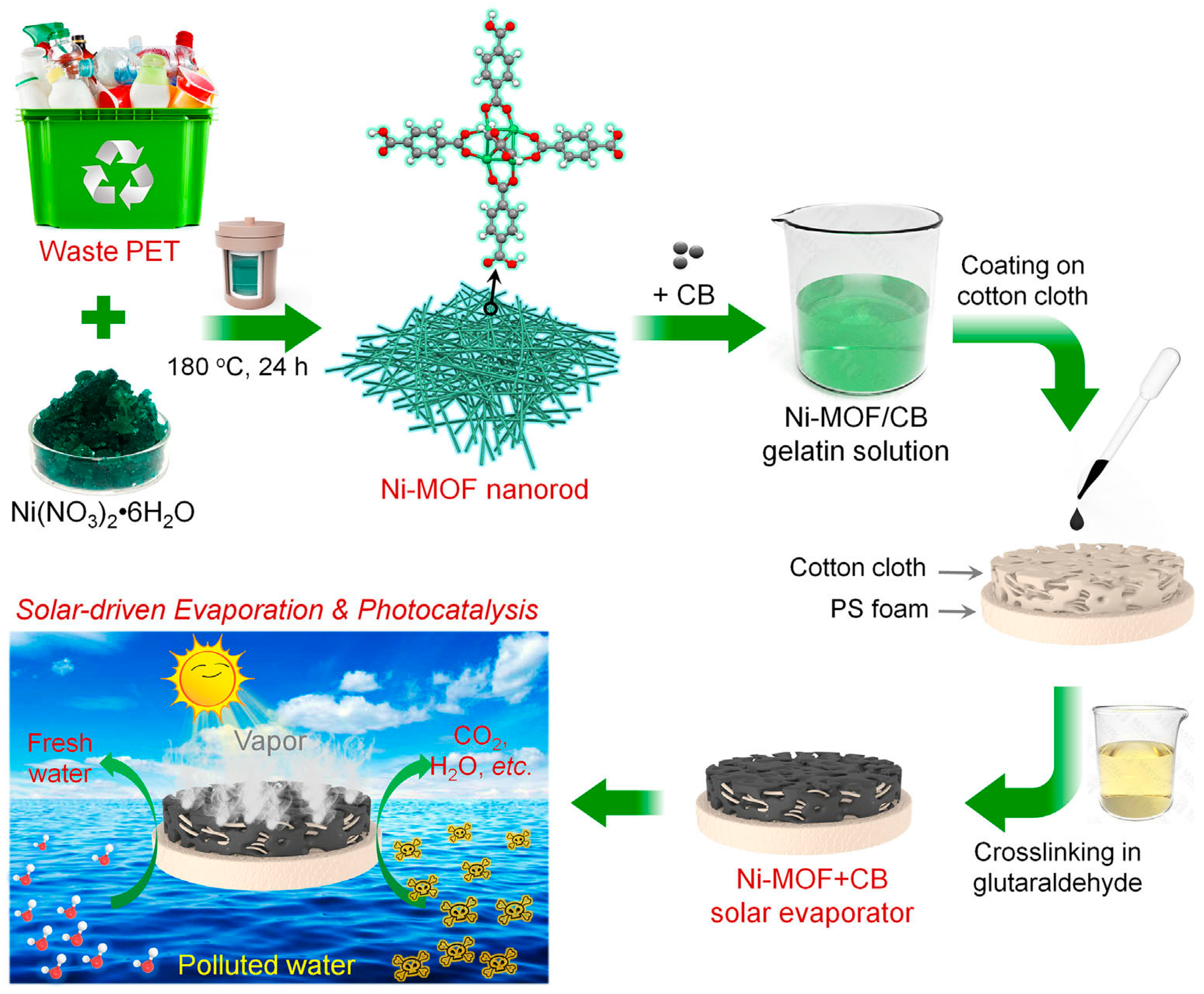 Molecules 30 01336 g012