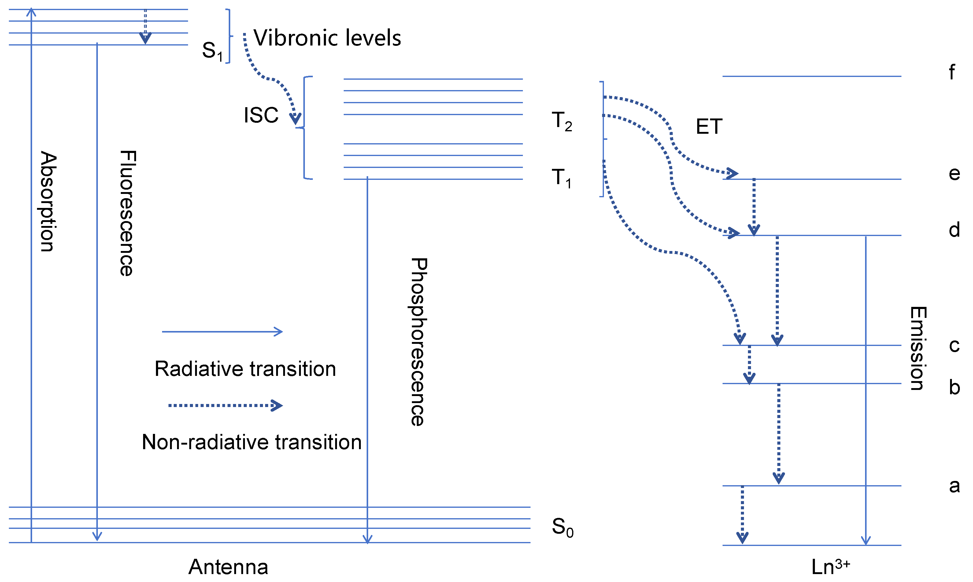 Molecules 30 01342 g001