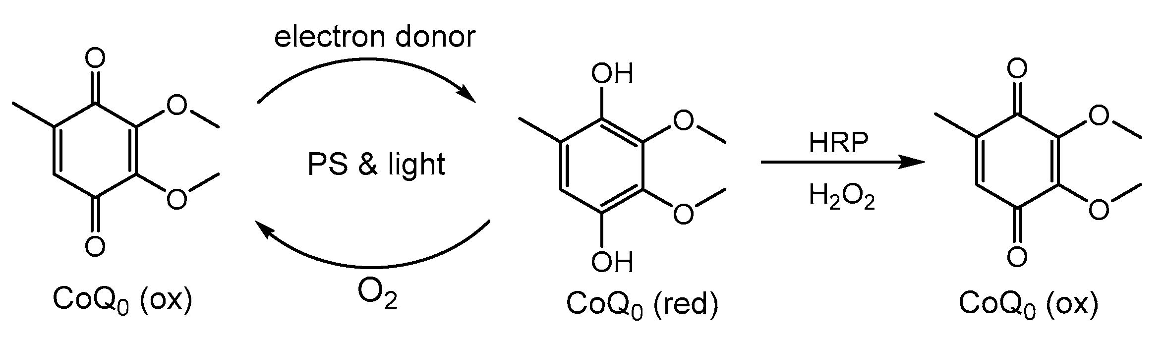 Molecules 30 01351 sch001
