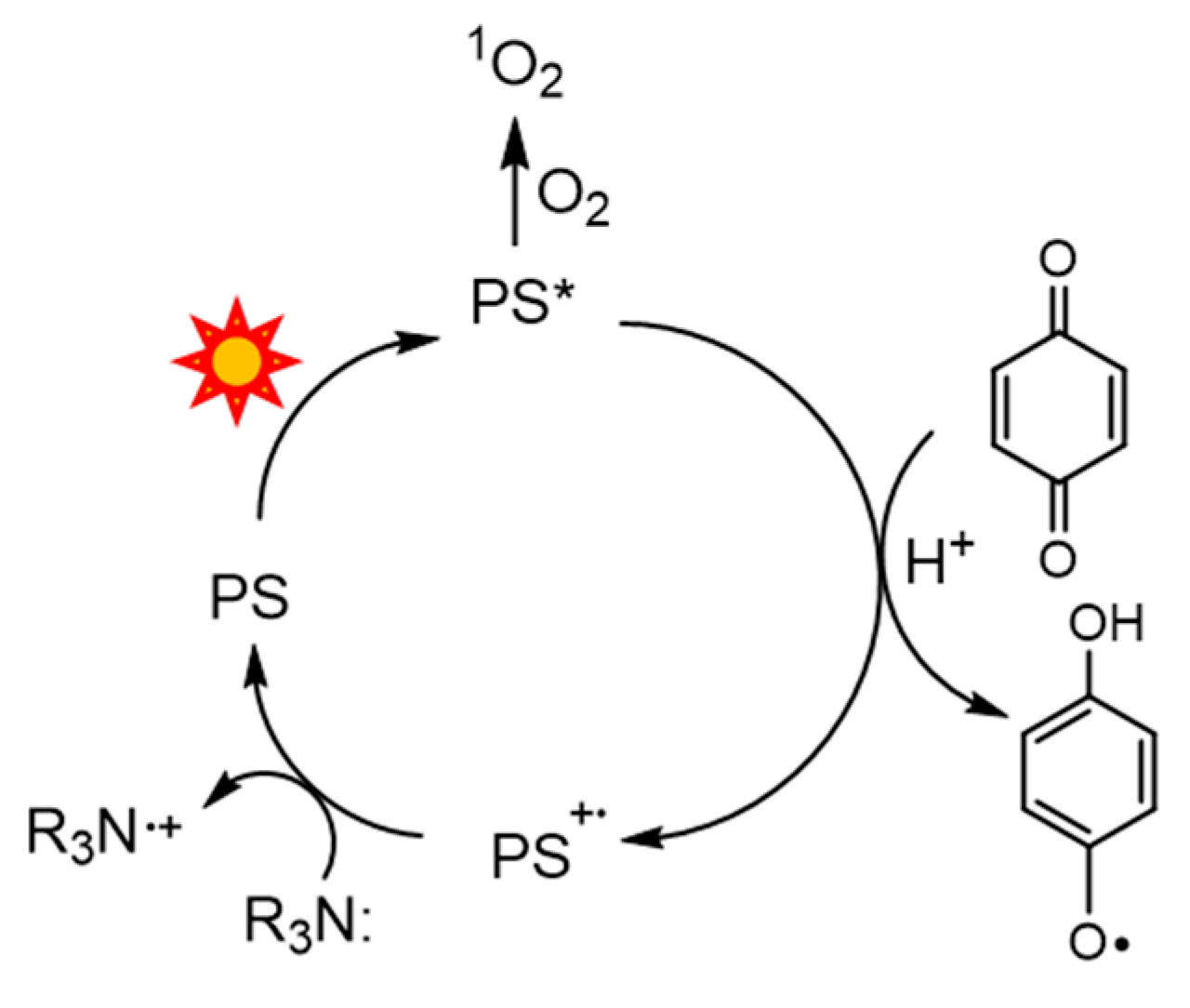 Molecules 30 01351 sch003