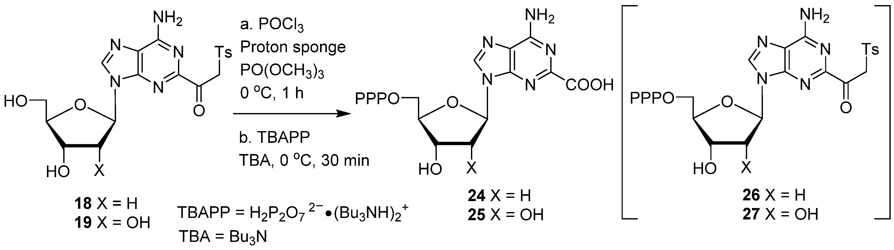 Molecules 30 01358 sch005