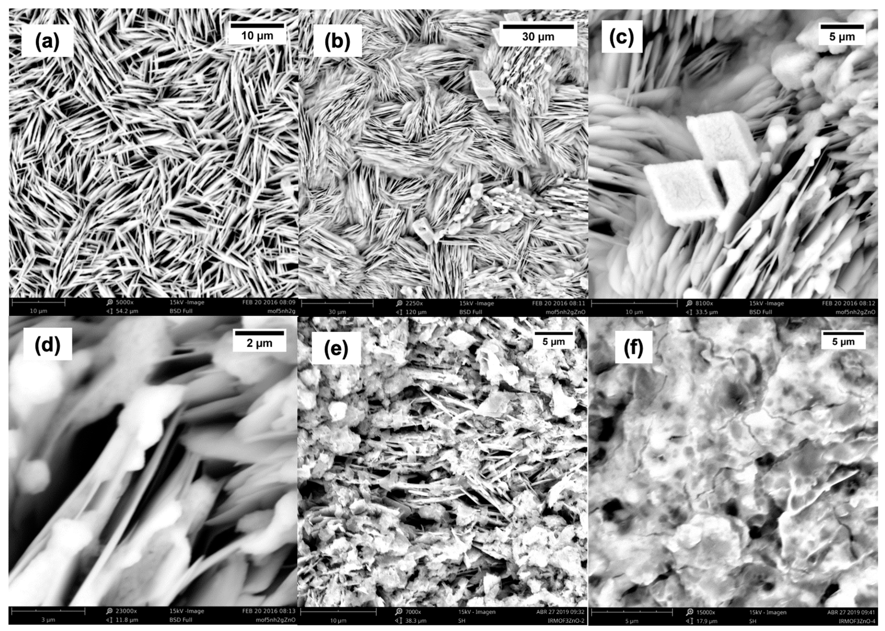 Molecules 30 01375 g001 Molecules 30 01375 g001