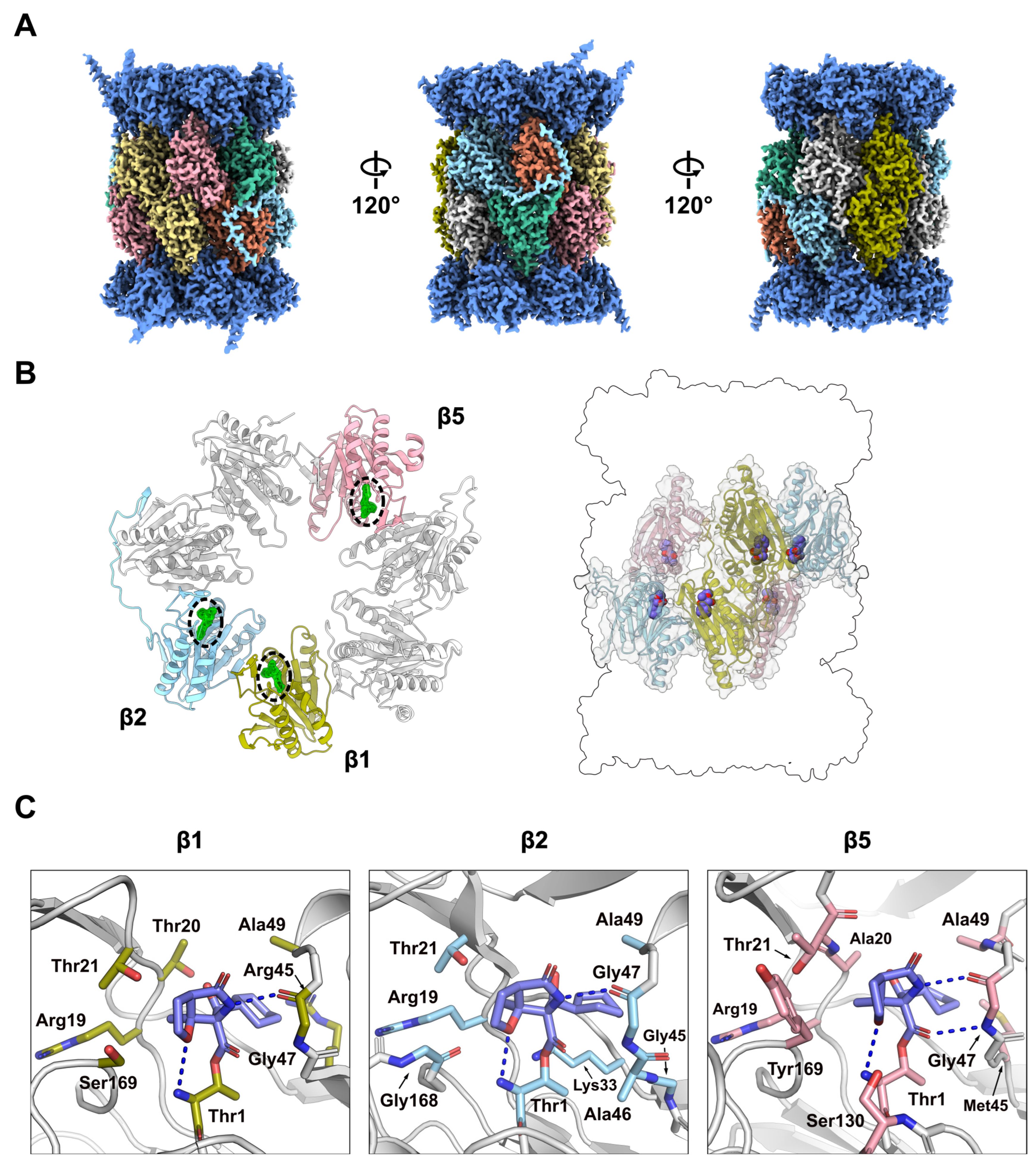 Molecules 30 01386 g003