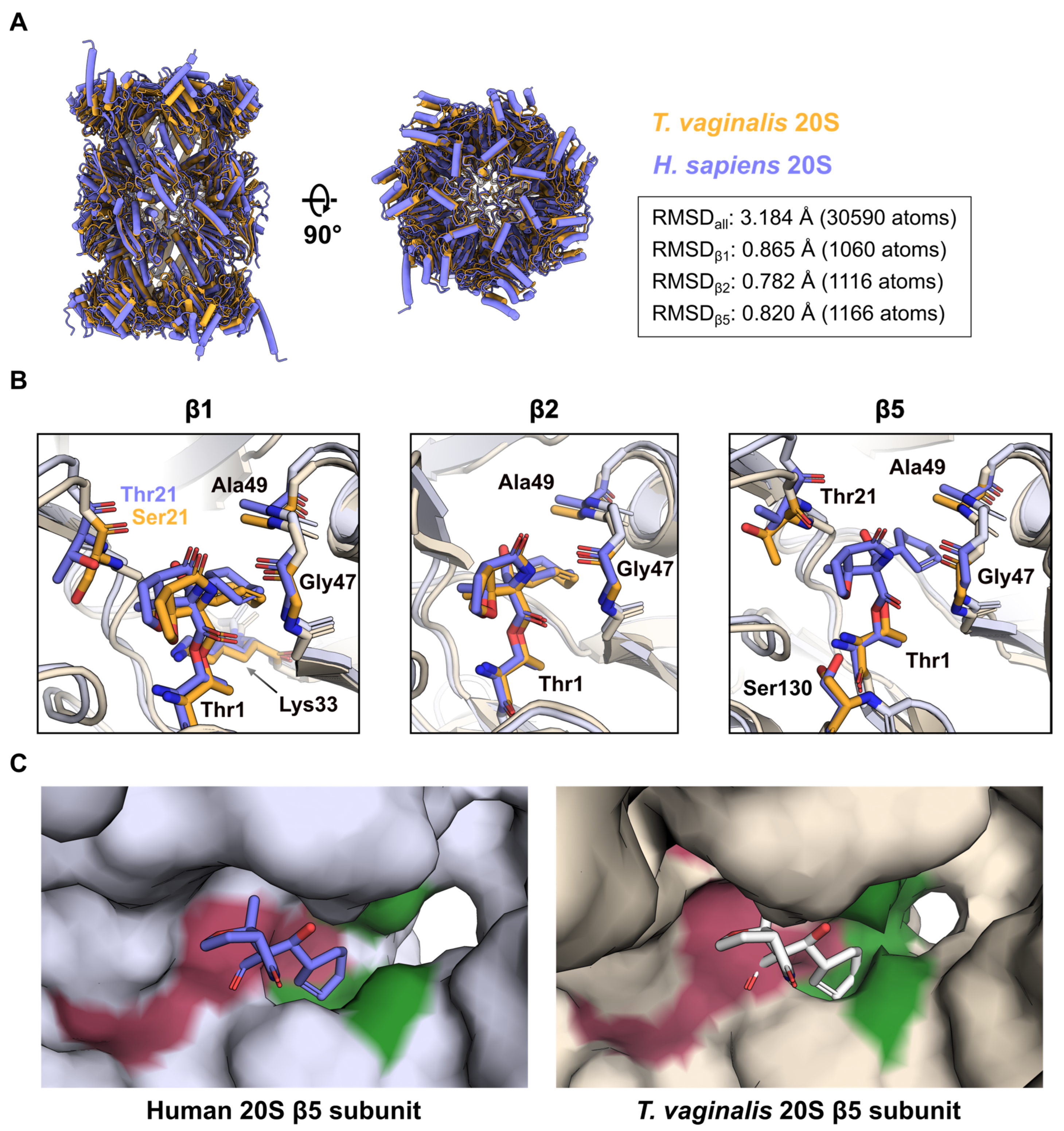 Molecules 30 01386 g004