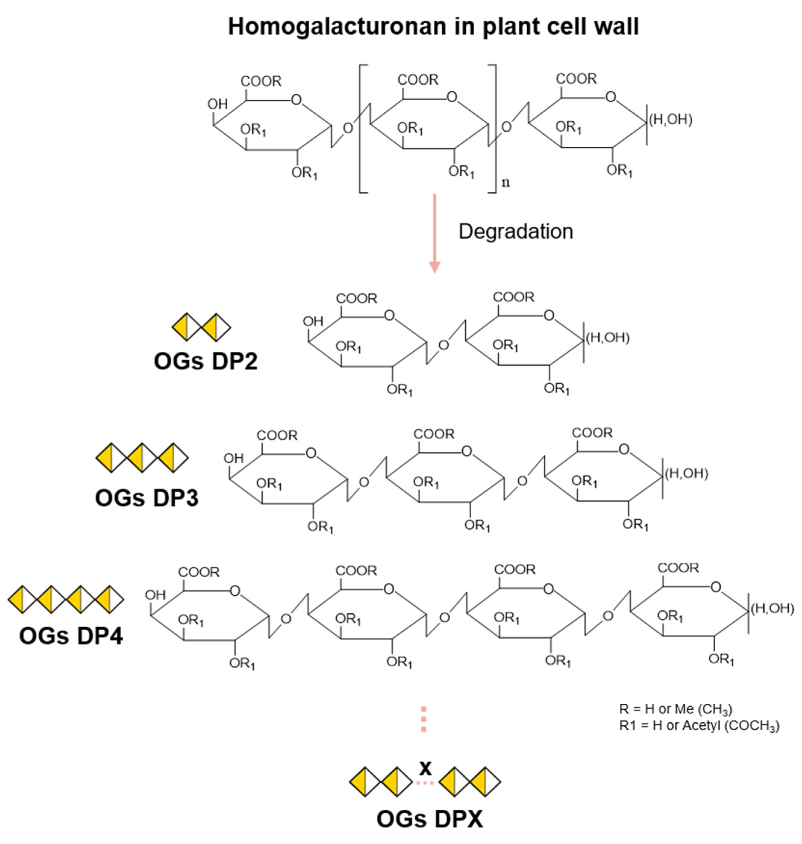 Molecules 30 01392 g001