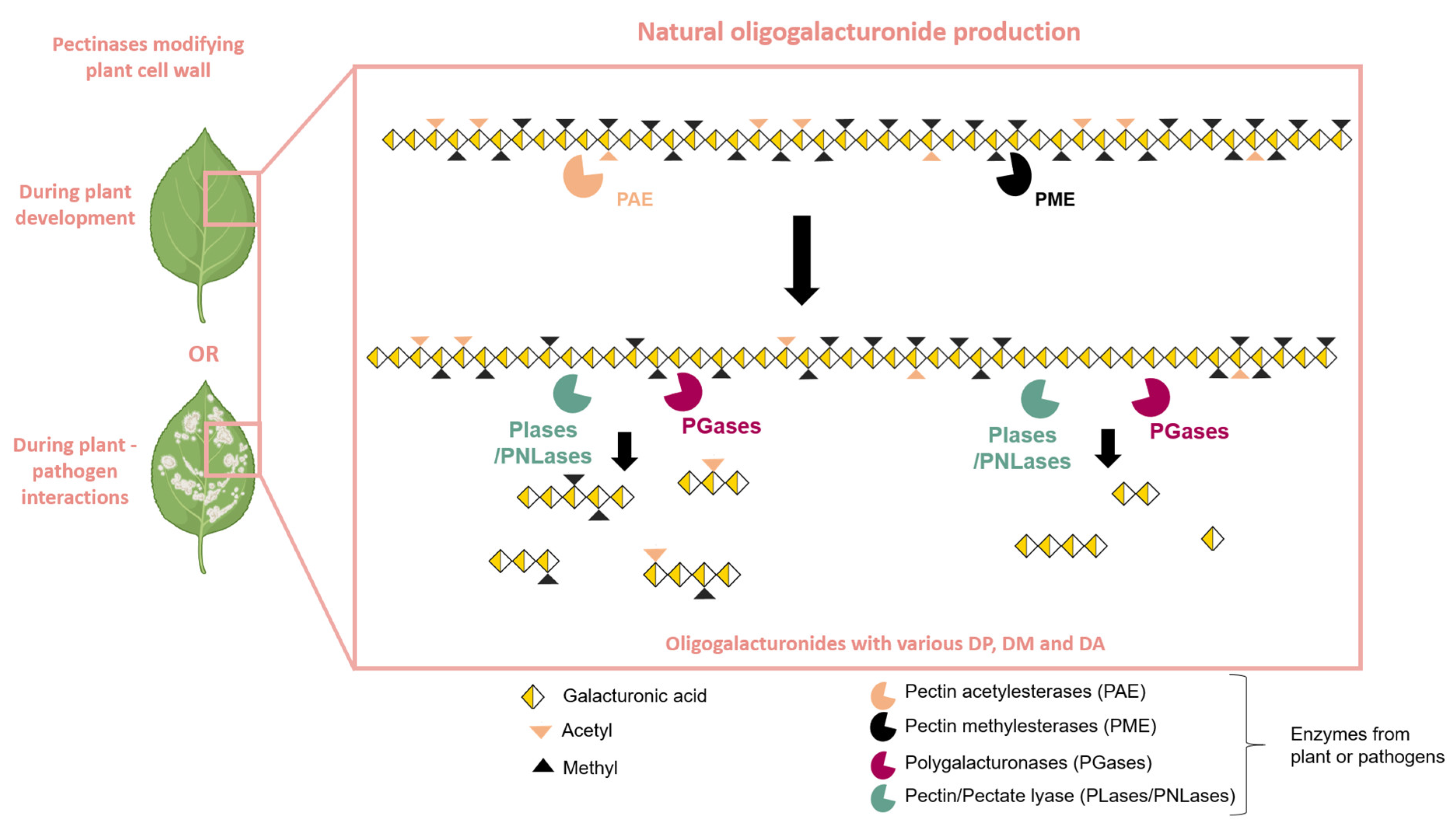 Molecules 30 01392 g002