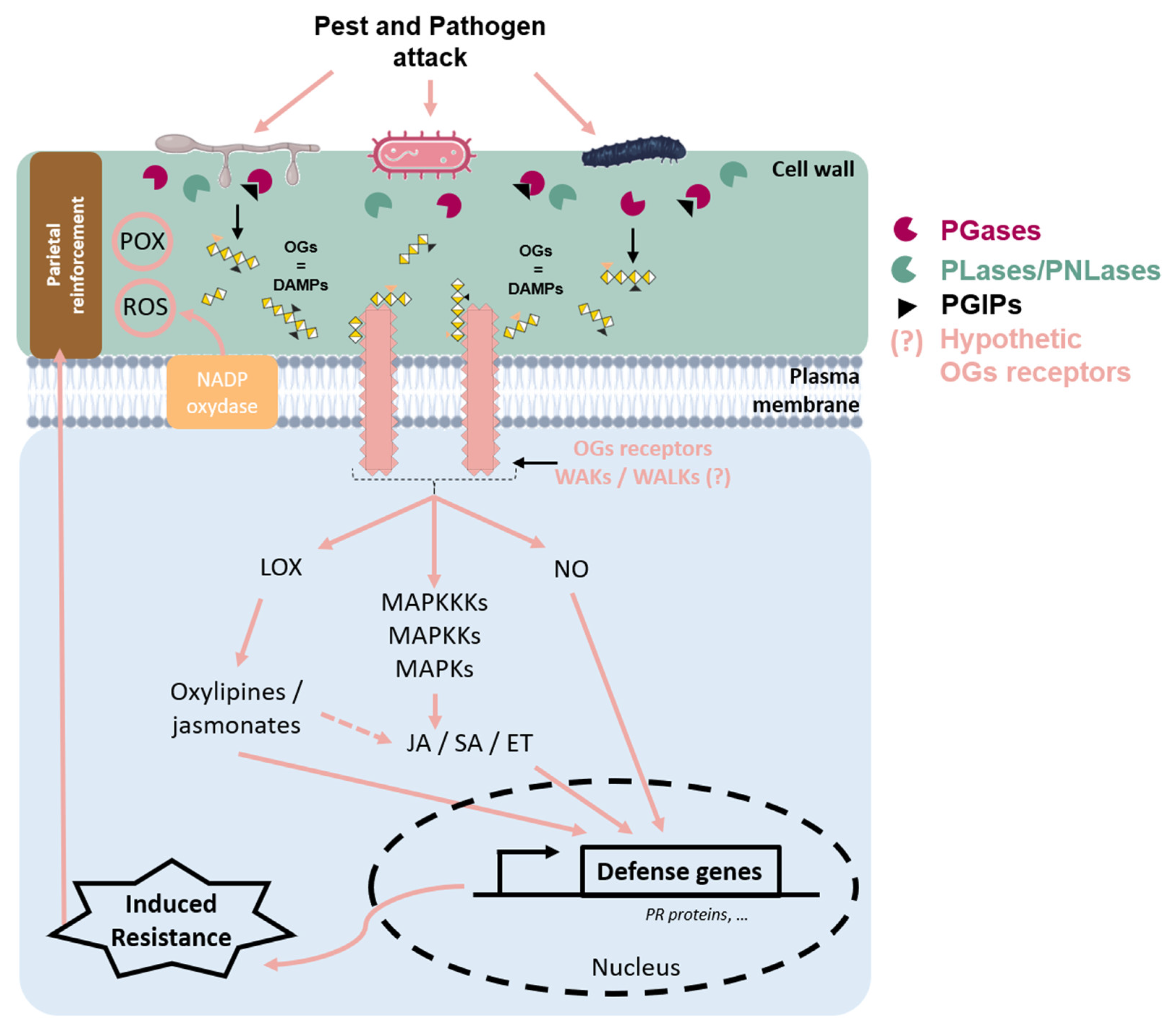 Molecules 30 01392 g003