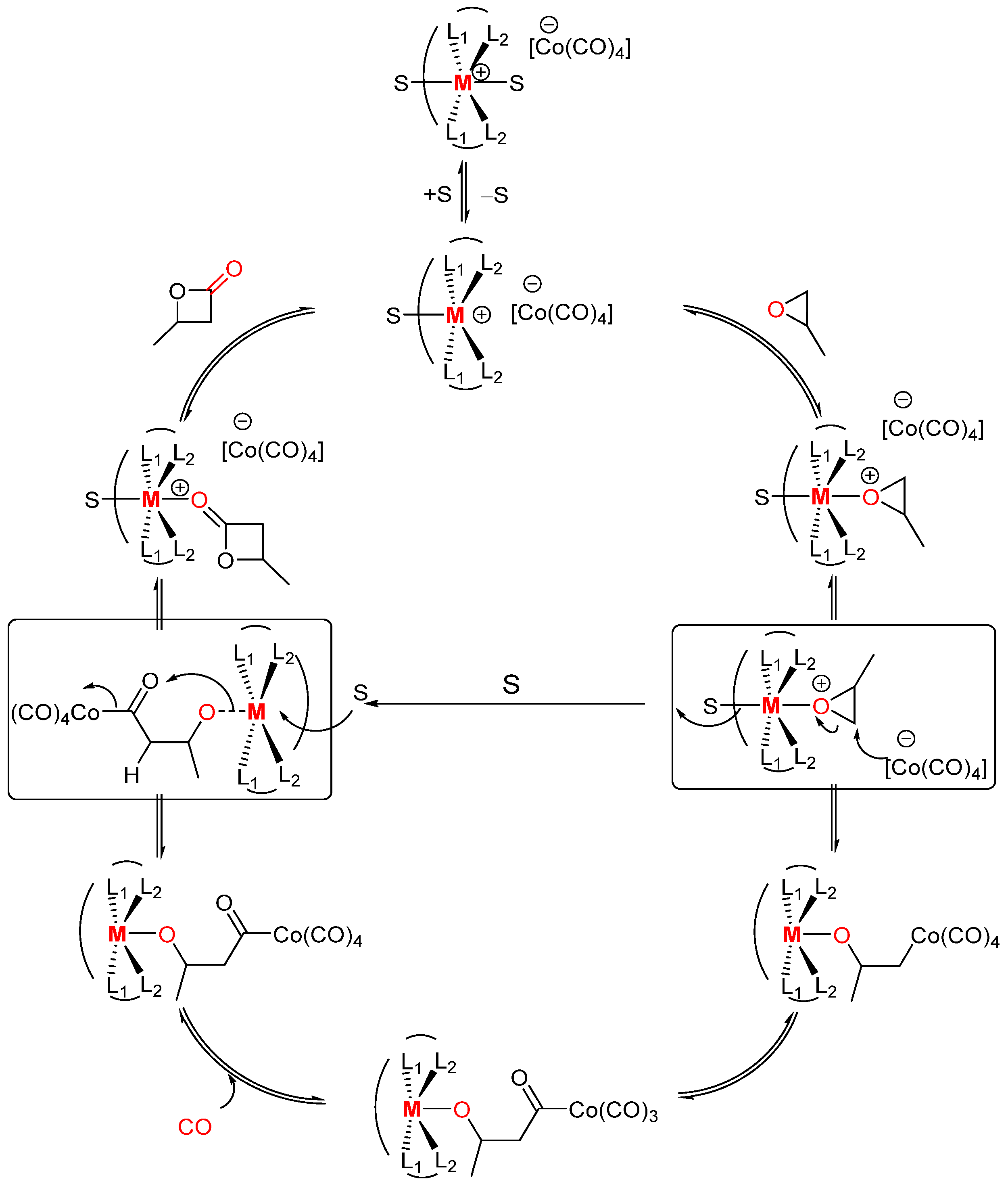 Molecules 30 01399 sch002