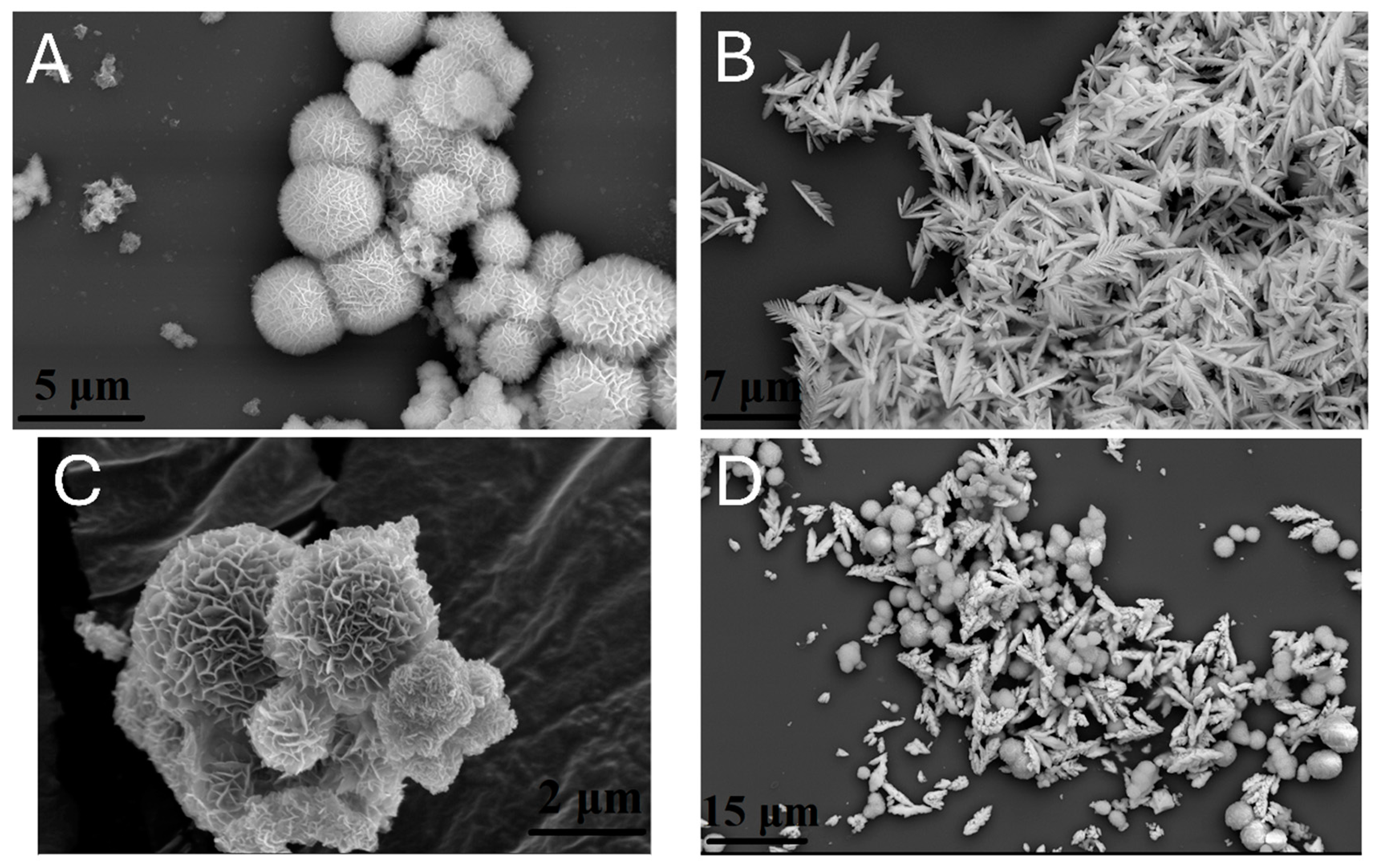 Molecules 30 01409 g002