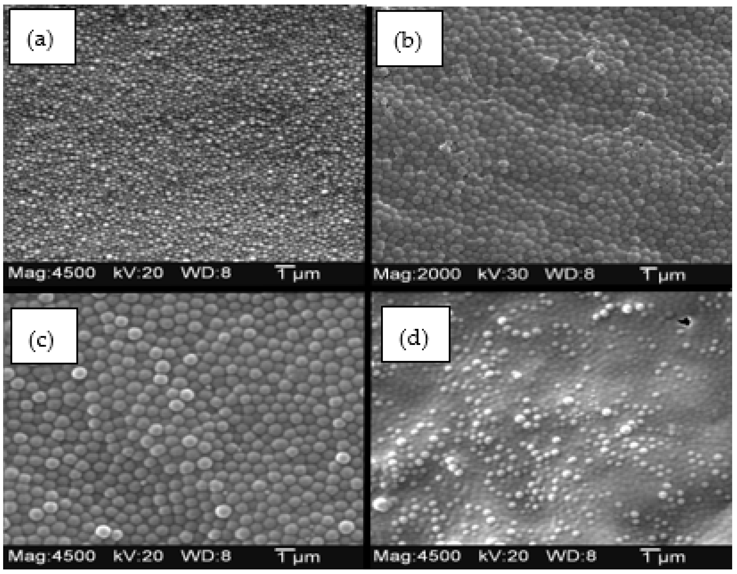 Molecules 30 01416 g017