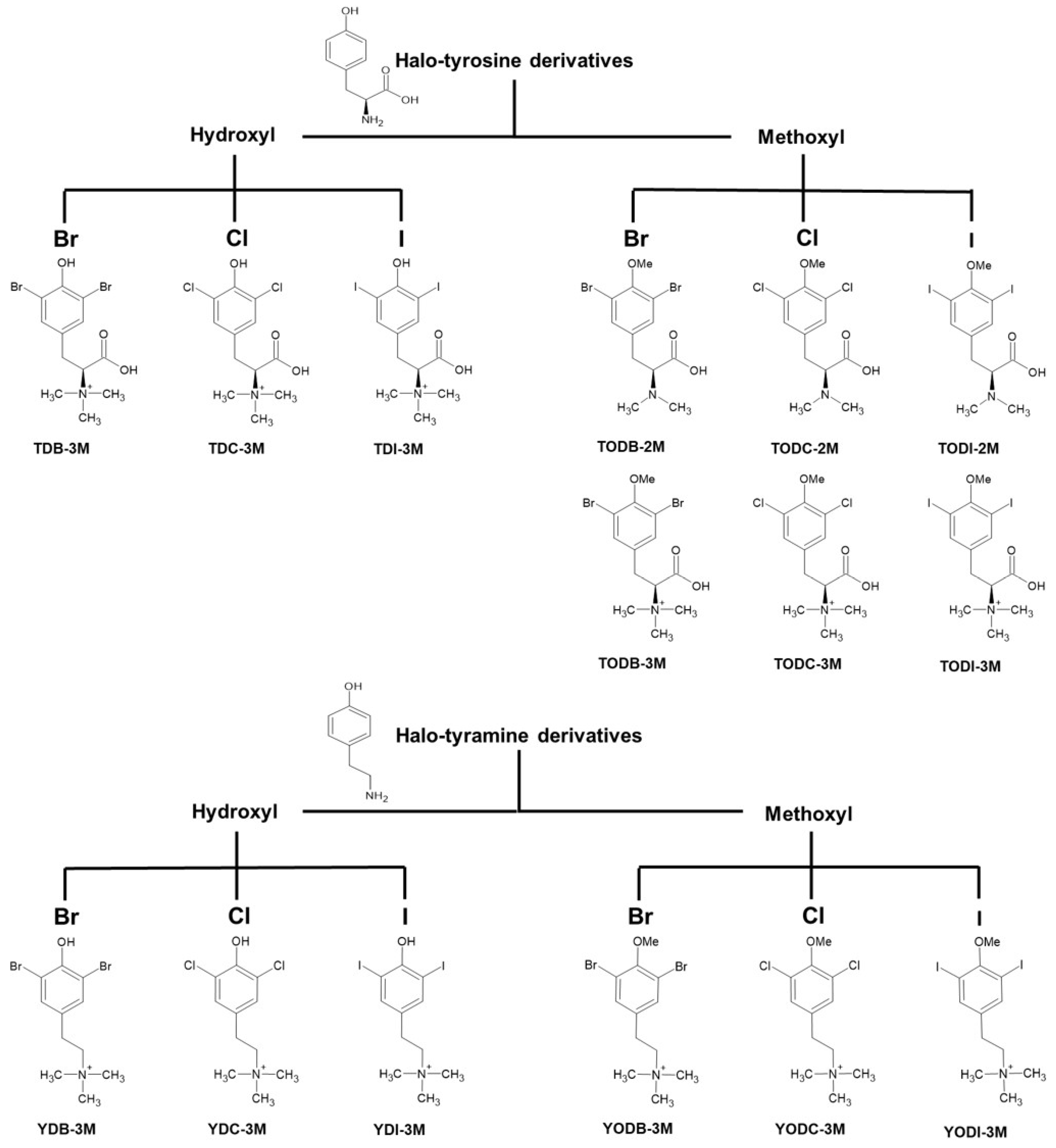 Molecules 30 01419 g001