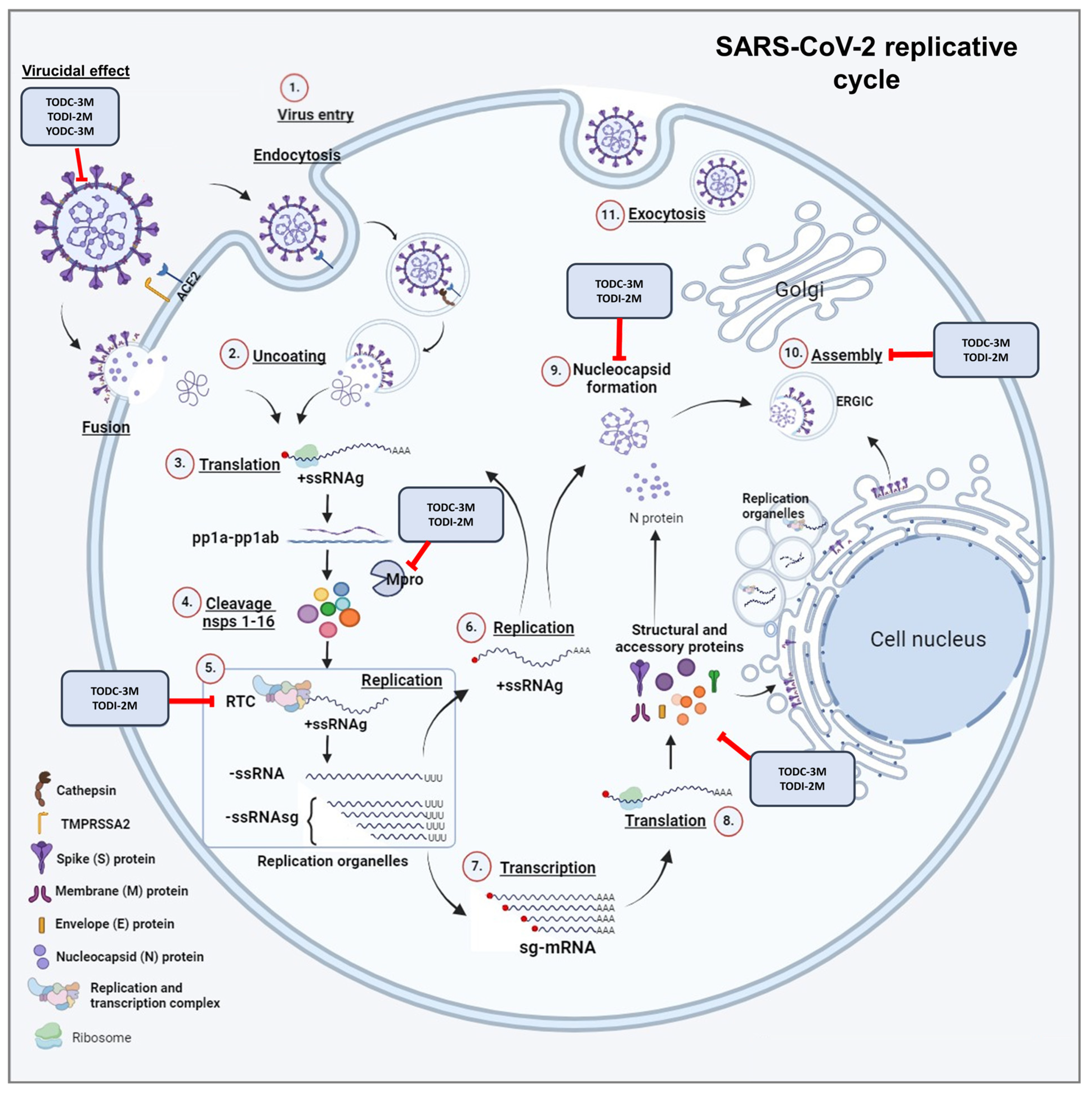 Molecules 30 01419 g010