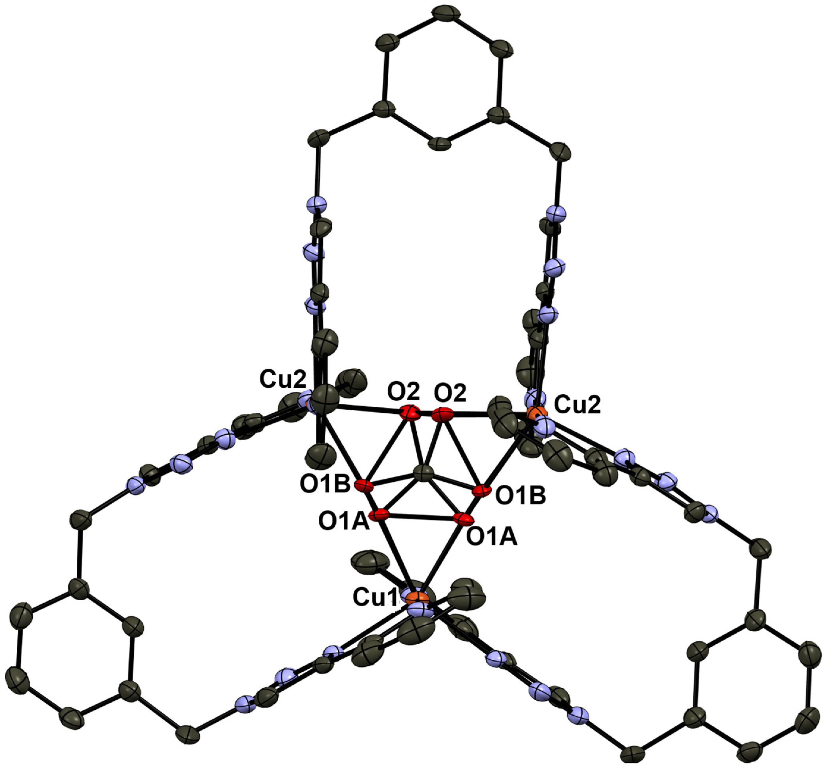 Molecules 30 01430 g002 Molecules 30 01430 g002