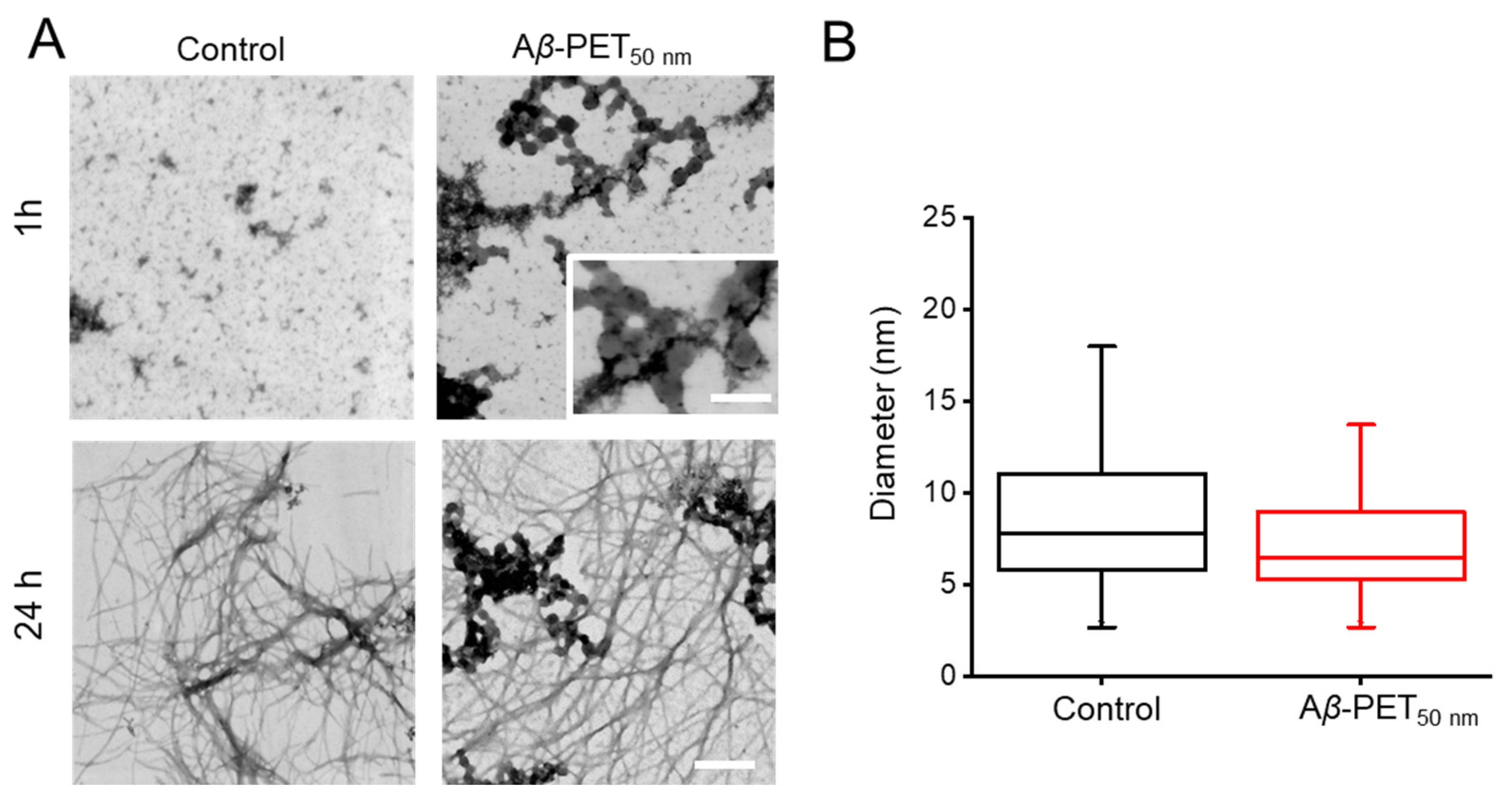 Molecules 30 01432 g005