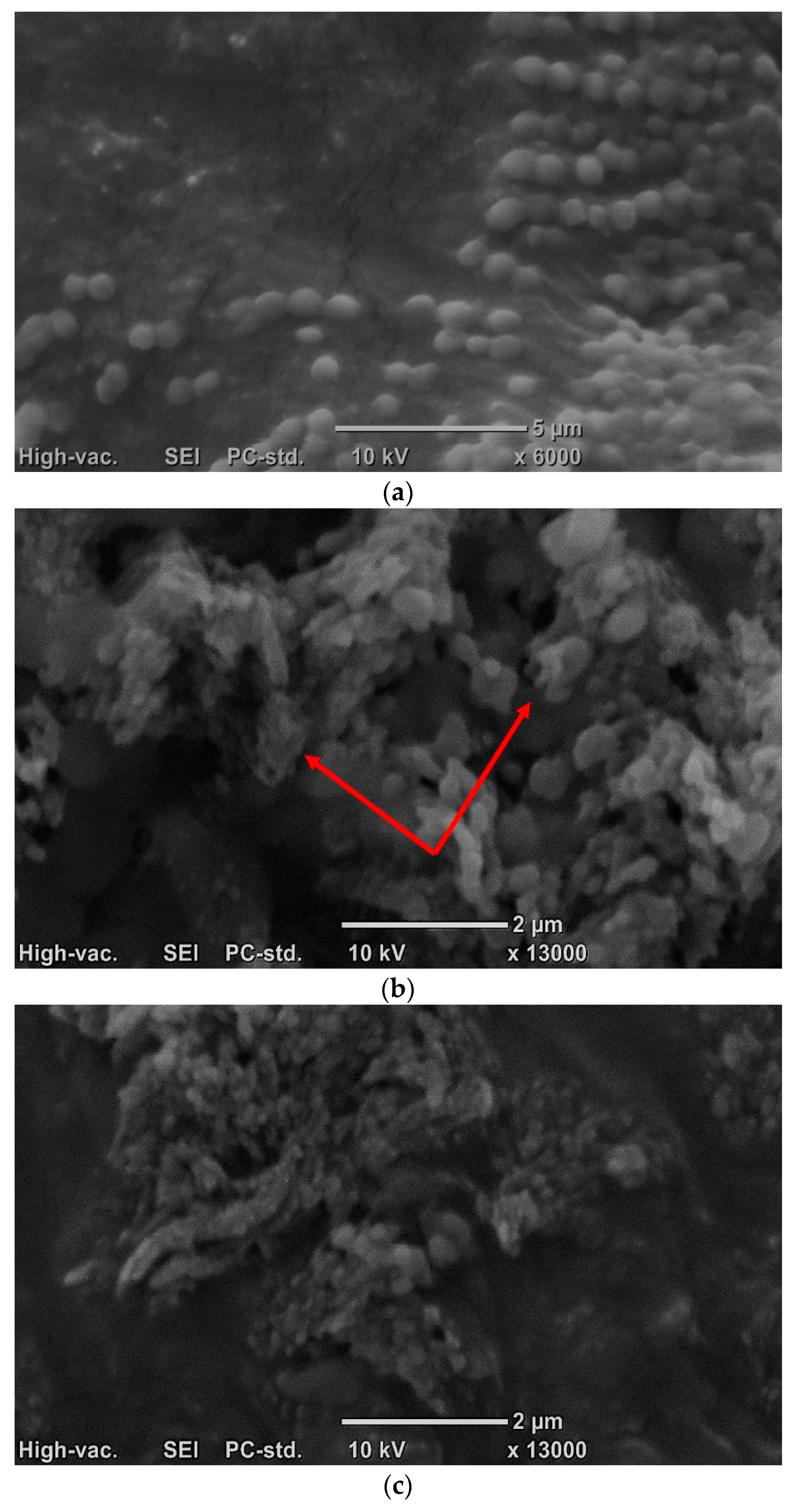 Molecules 30 01443 g002 Molecules 30 01443 g002