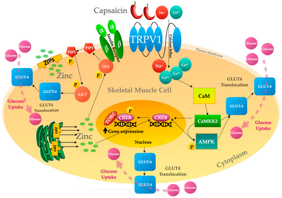 Molecules 30 01446 g004