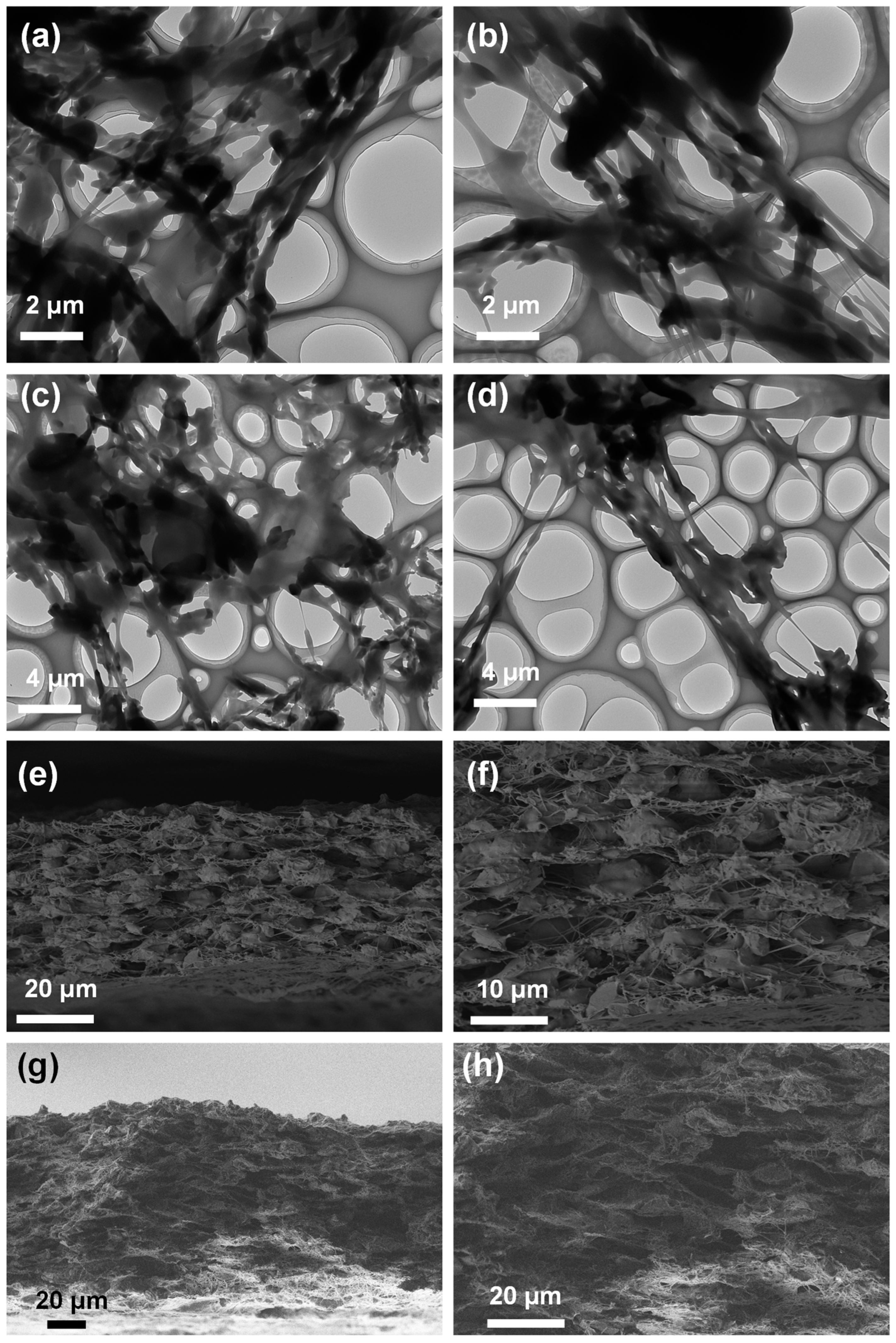 Molecules 30 01449 g002