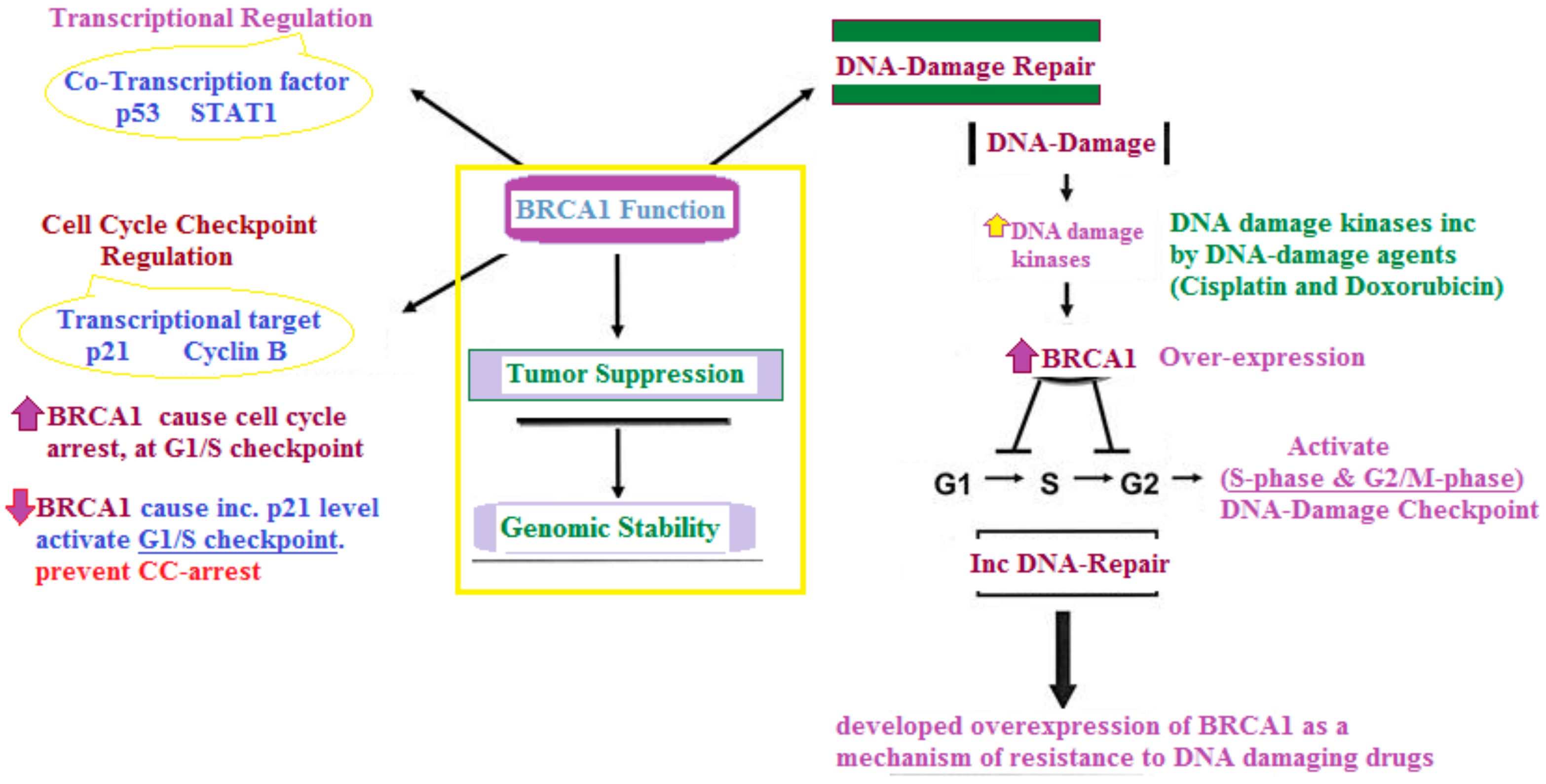 Molecules 30 01453 g001