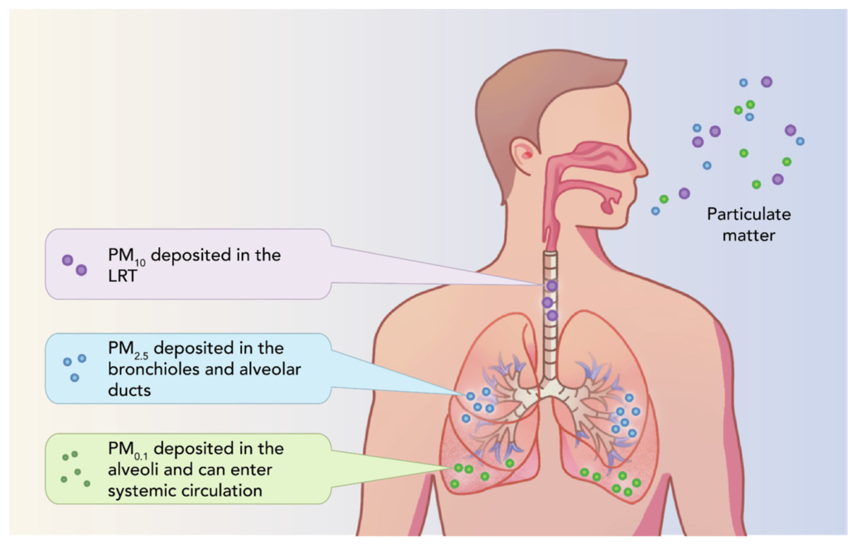 Molecules 30 01455 g005