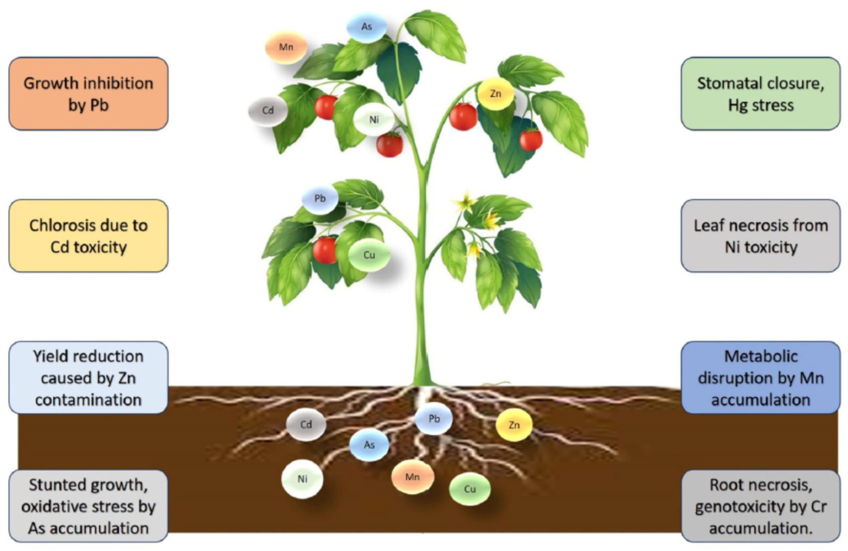 Molecules 30 01455 g007