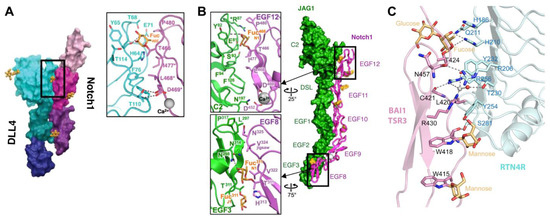 Molecules 30 01470 g005